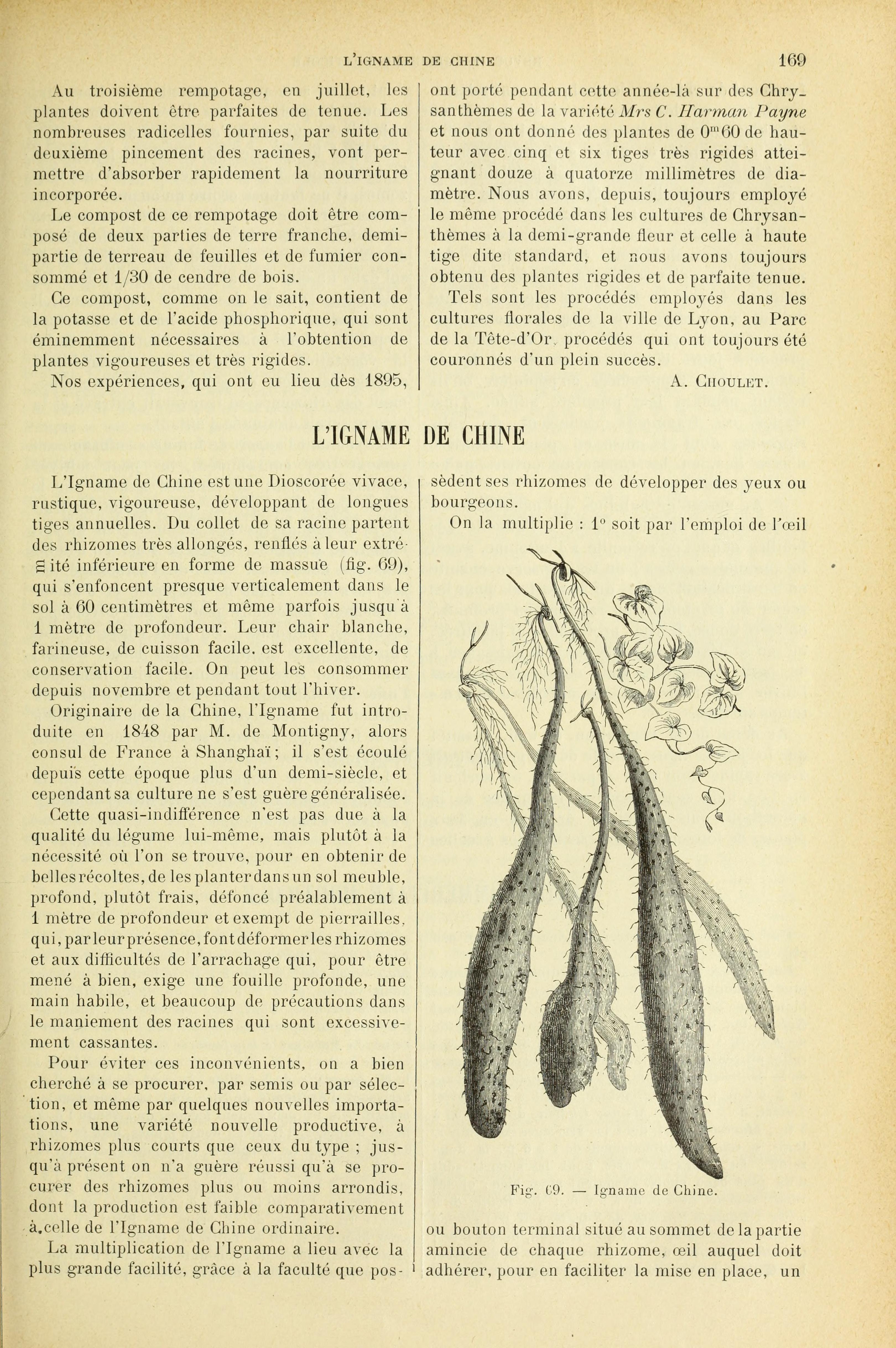 no full size  illustration available (3a)