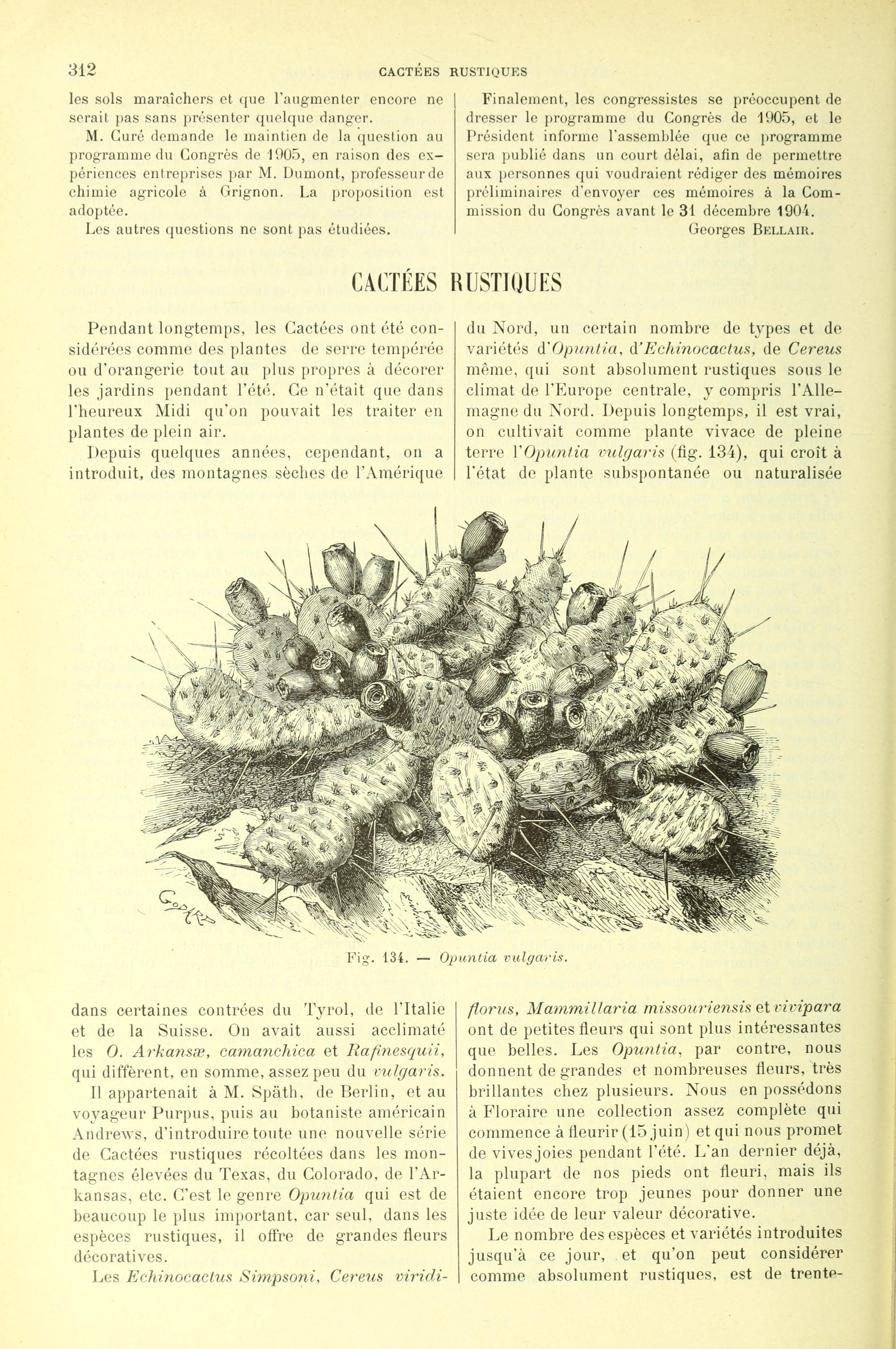 no full size  illustration available (3a)