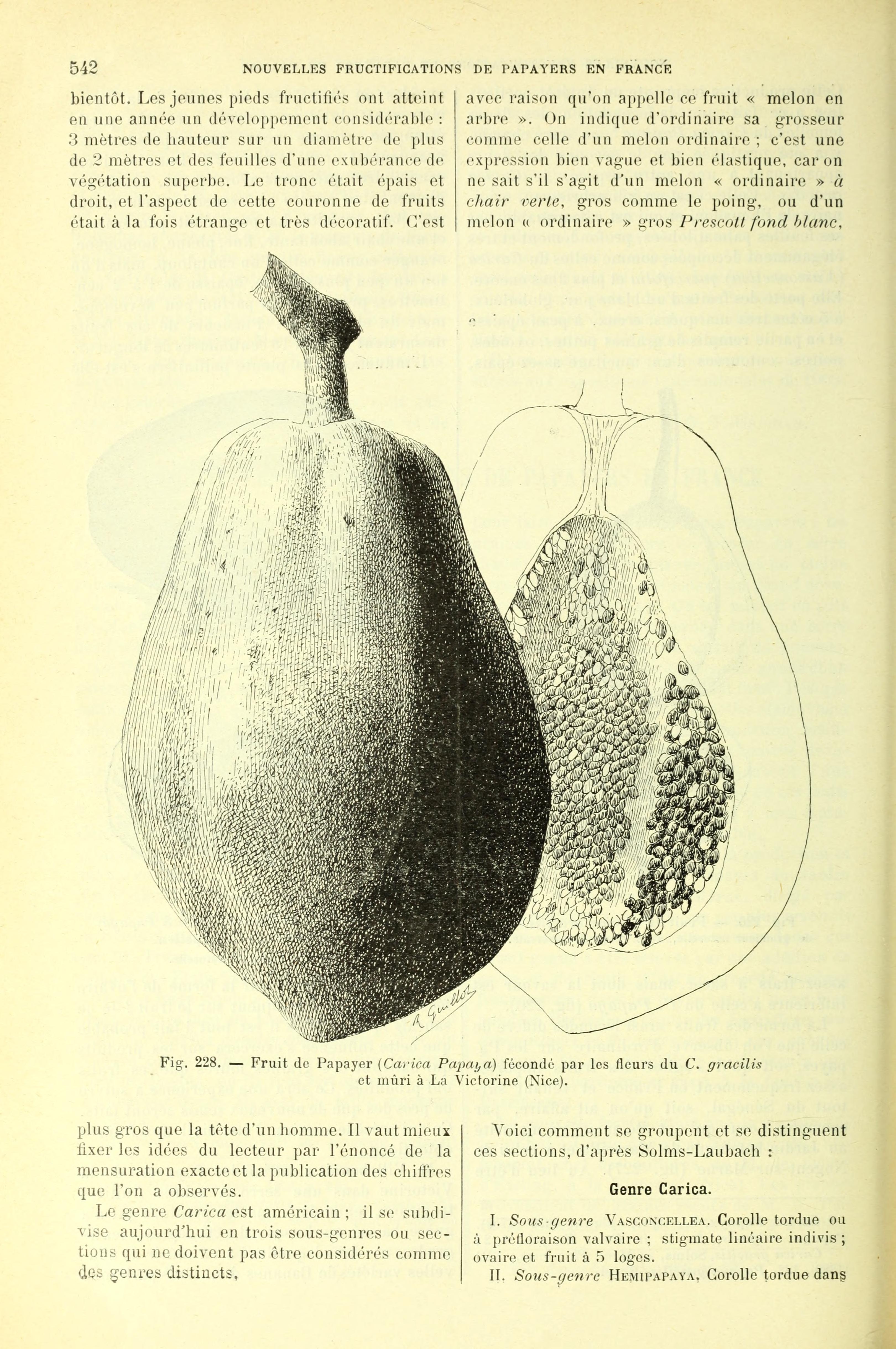 no full size  illustration available (3a)