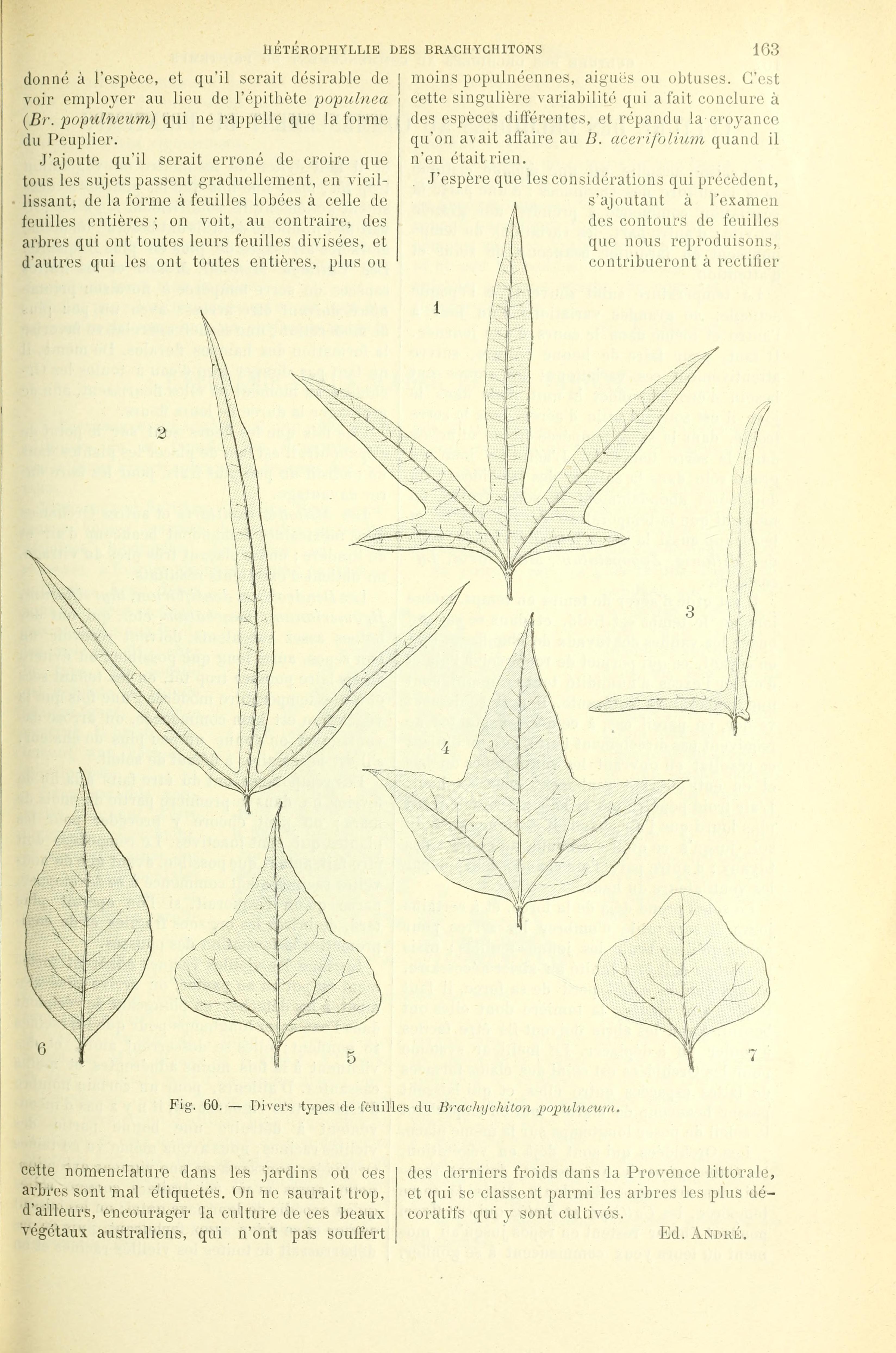 no full size  illustration available (3a)