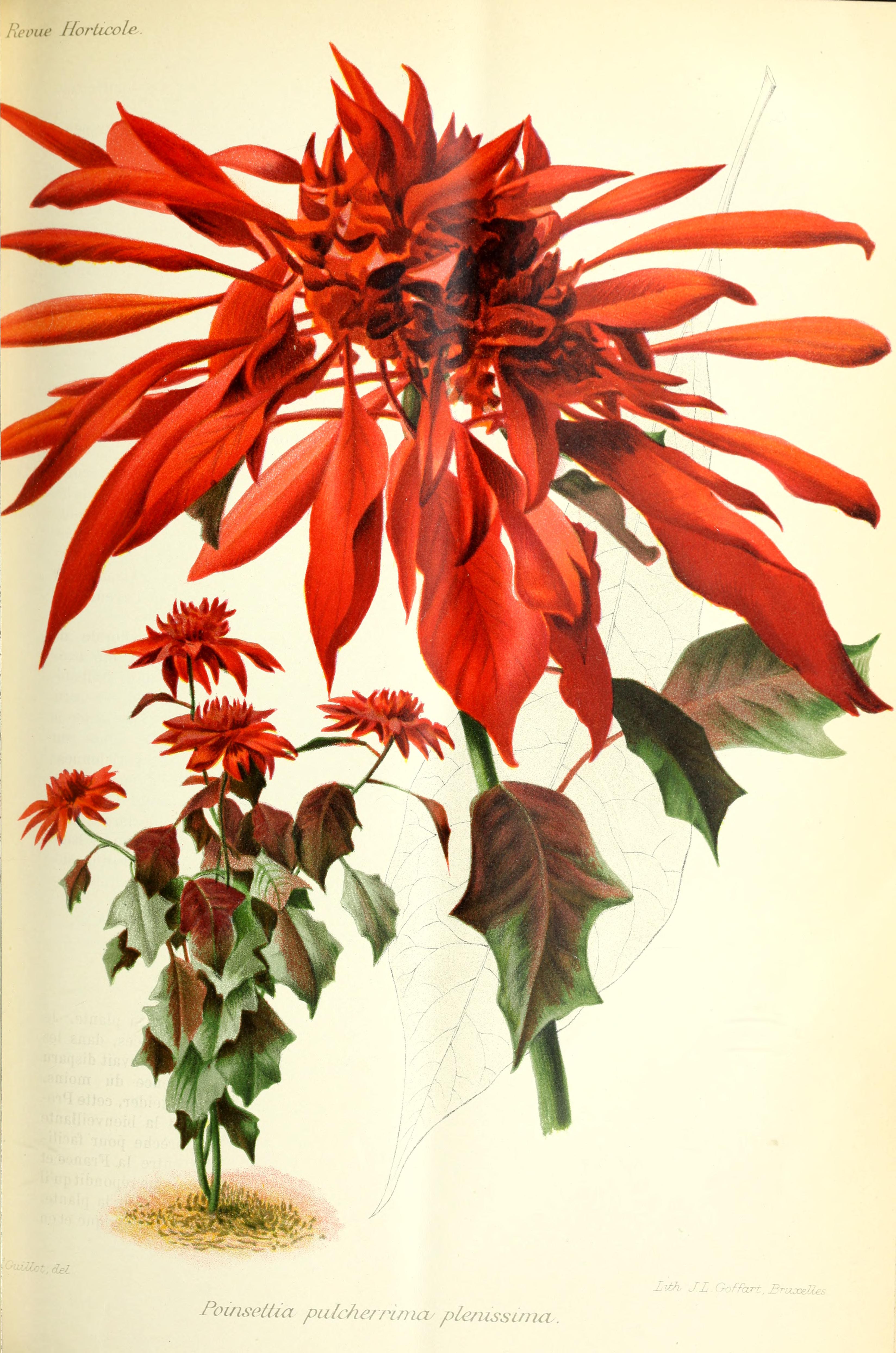 no full size  illustration available (3a)