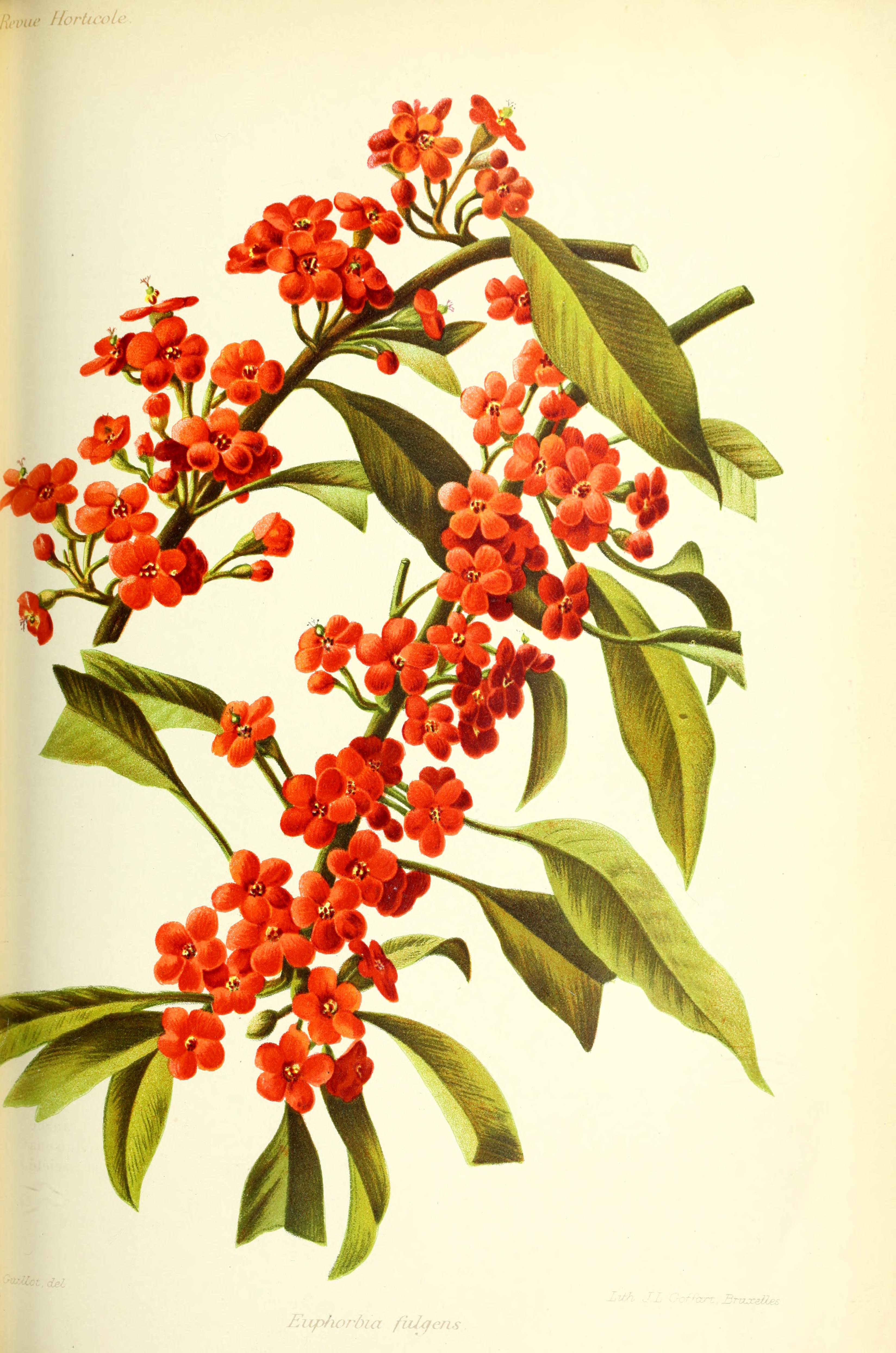 no full size  illustration available (3a)