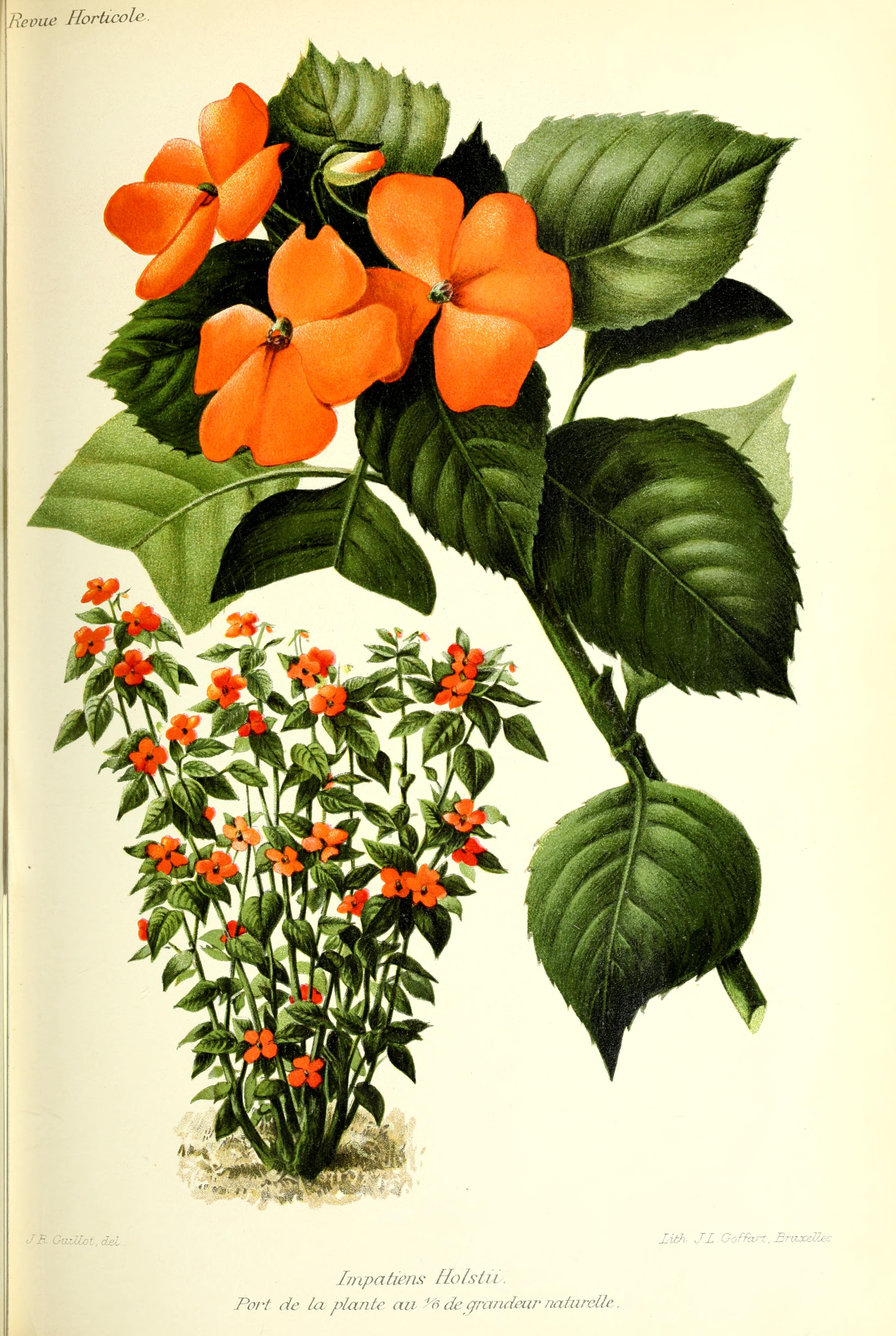 no full size  illustration available (3a)