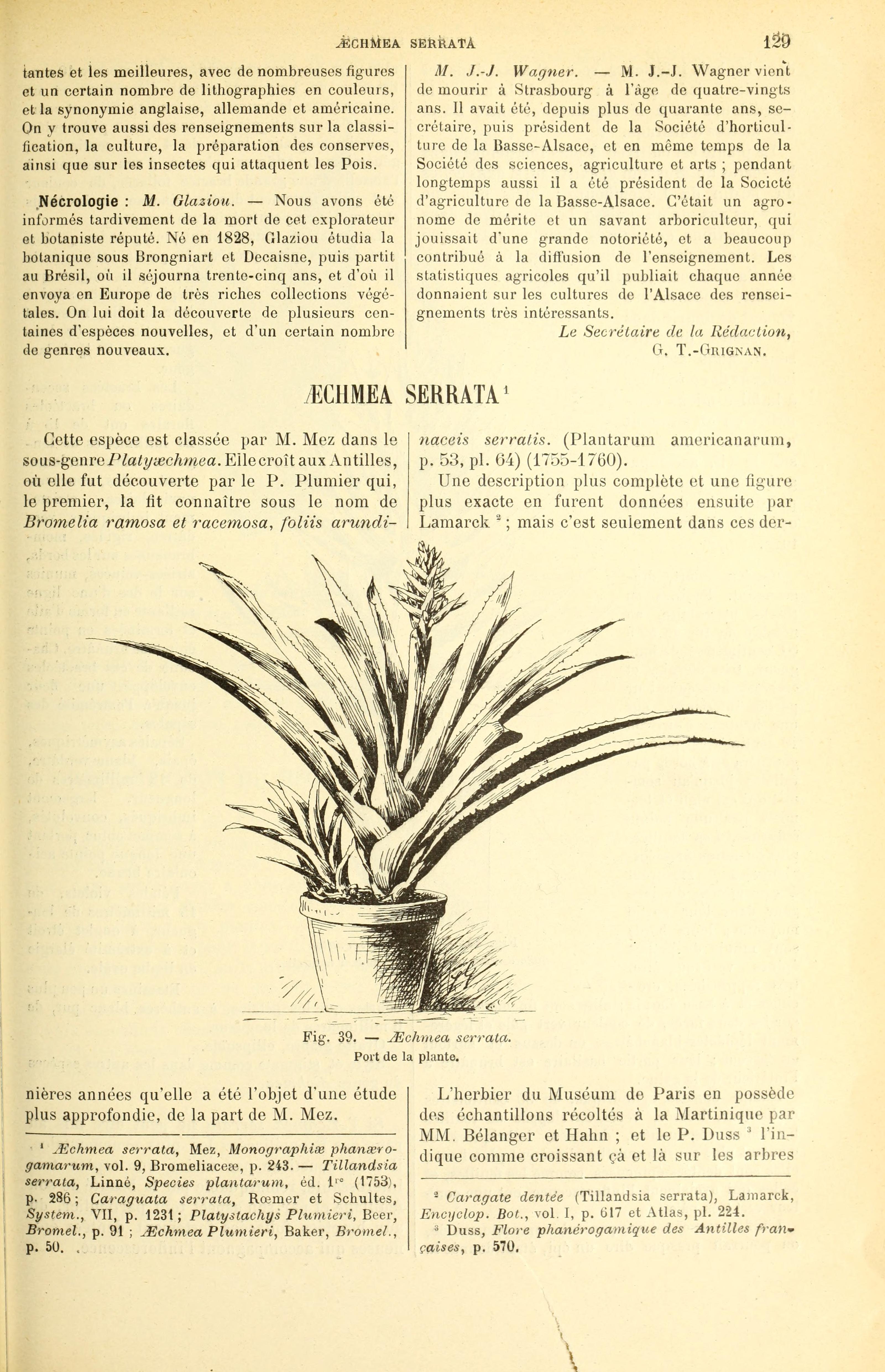 no full size  illustration available (3a)