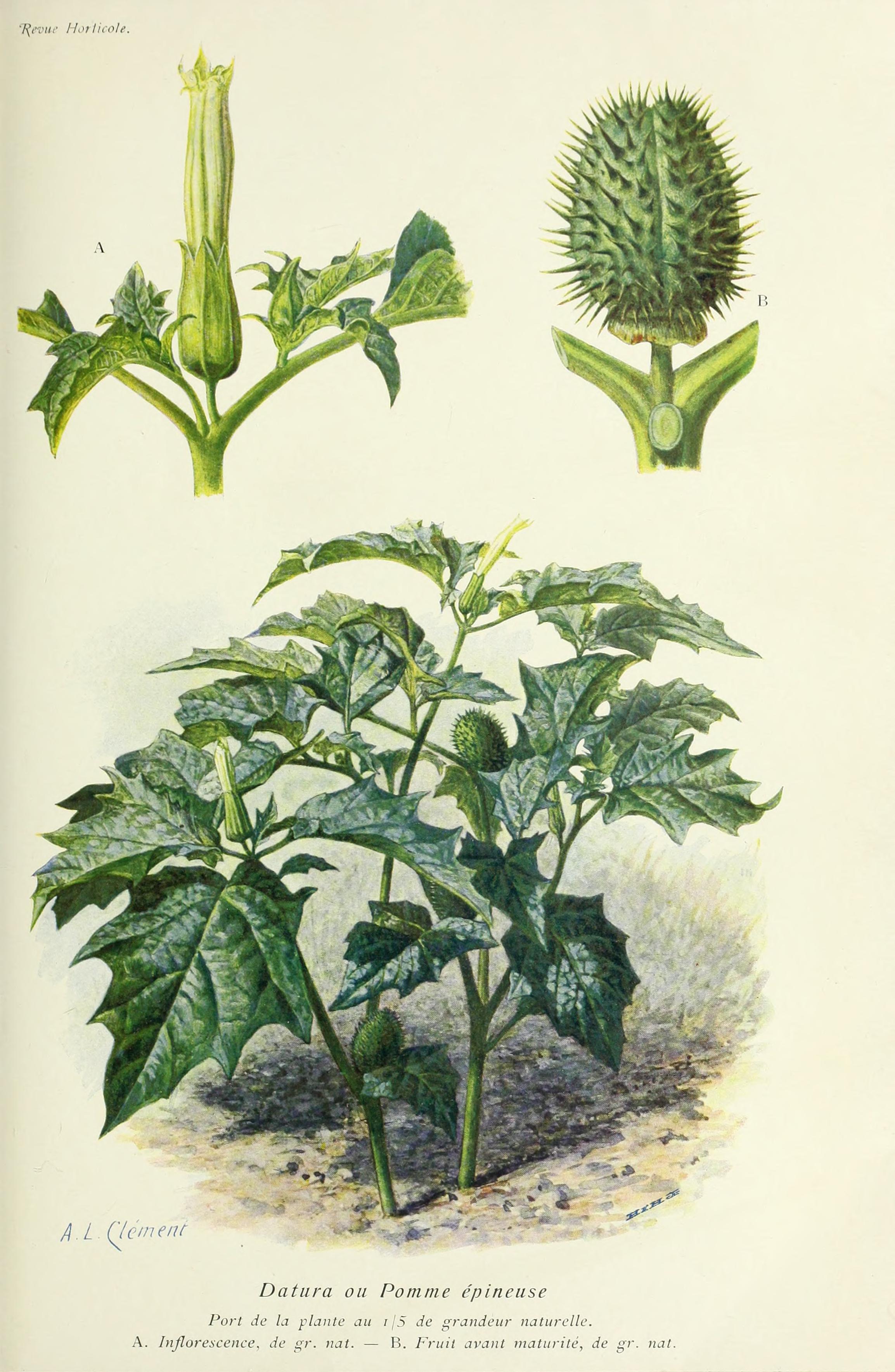 no full size  illustration available (3a)