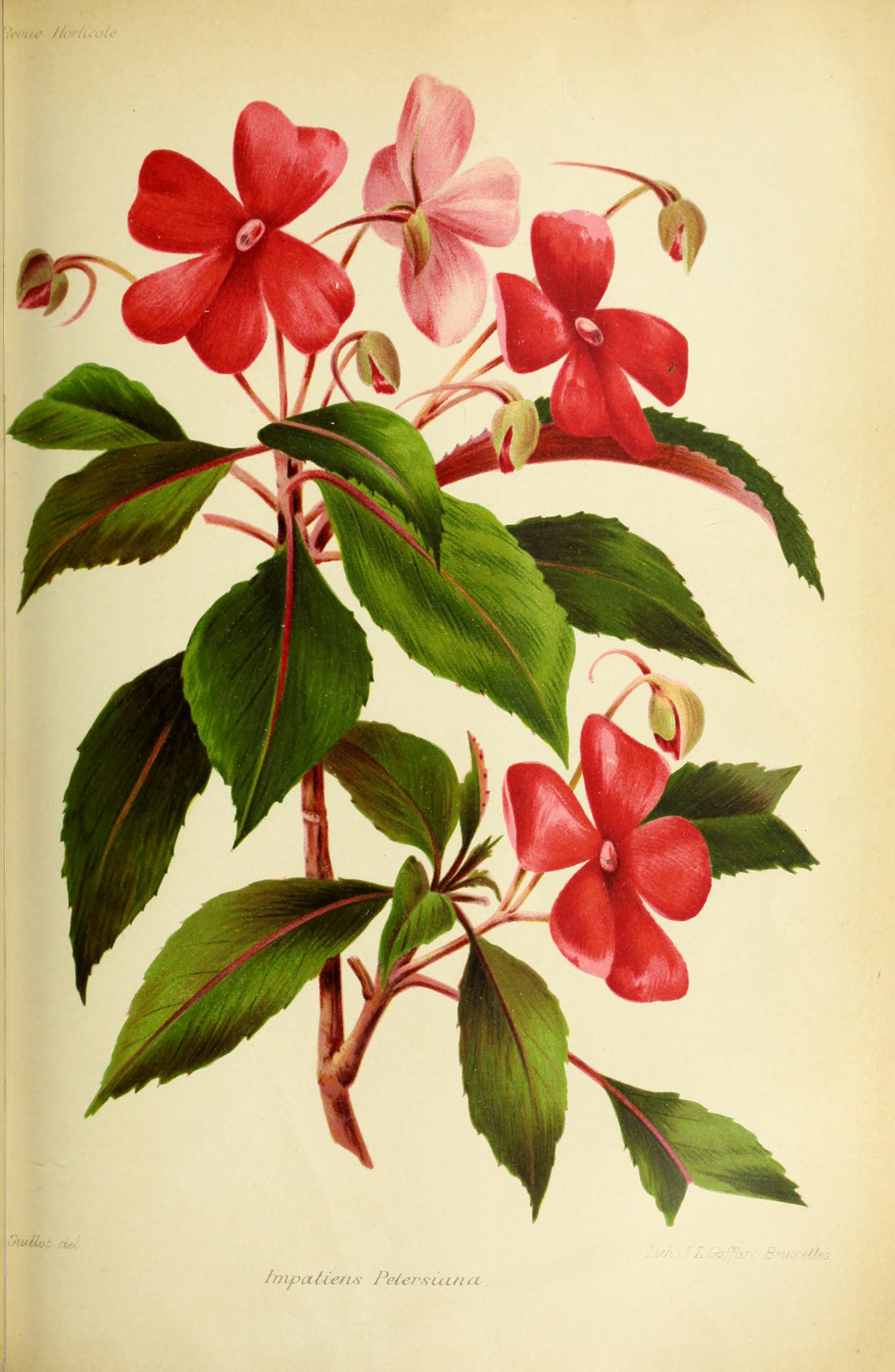 no full size  illustration available (3a)