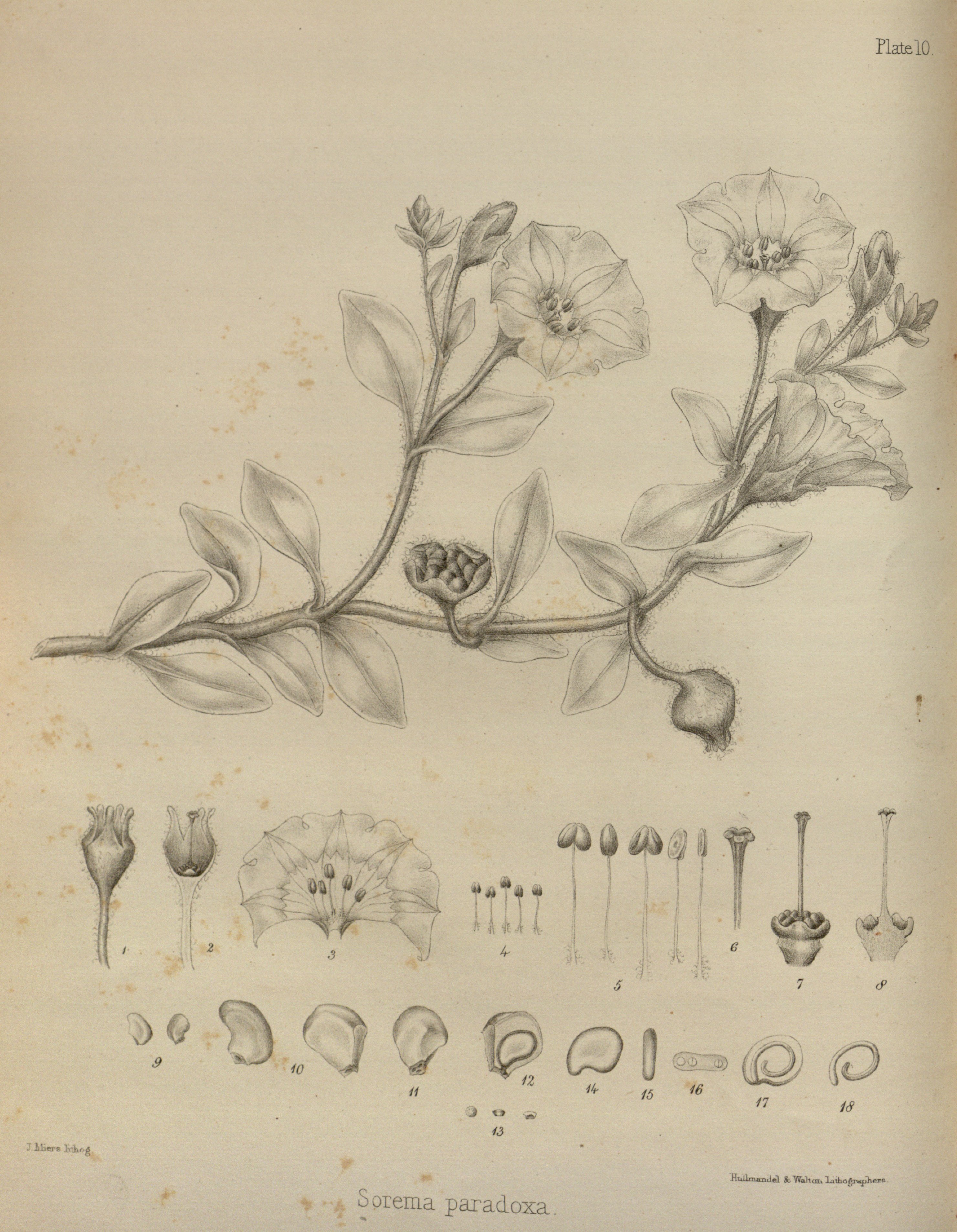 no full size  illustration available (3a)