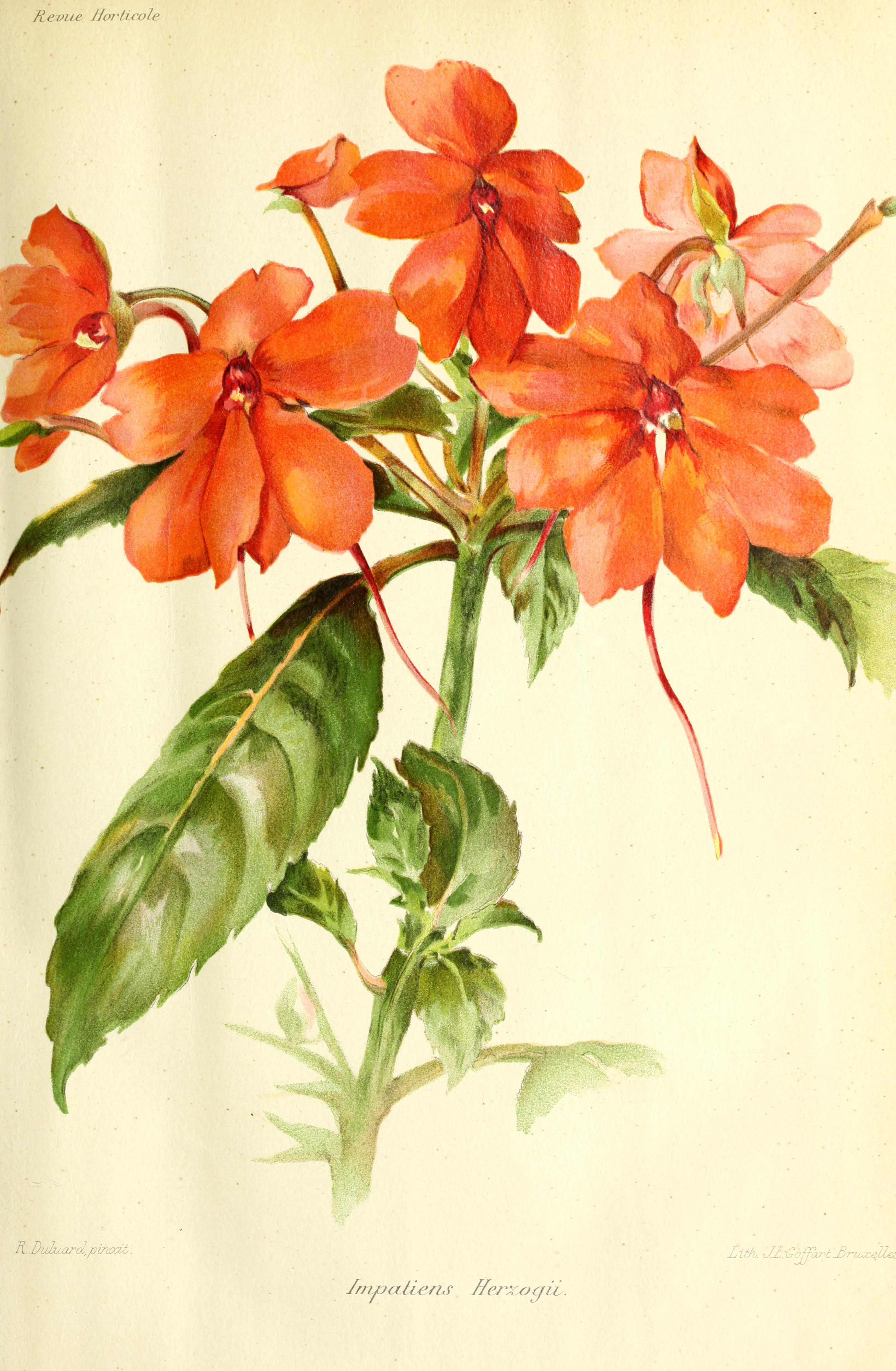 no full size  illustration available (3a)