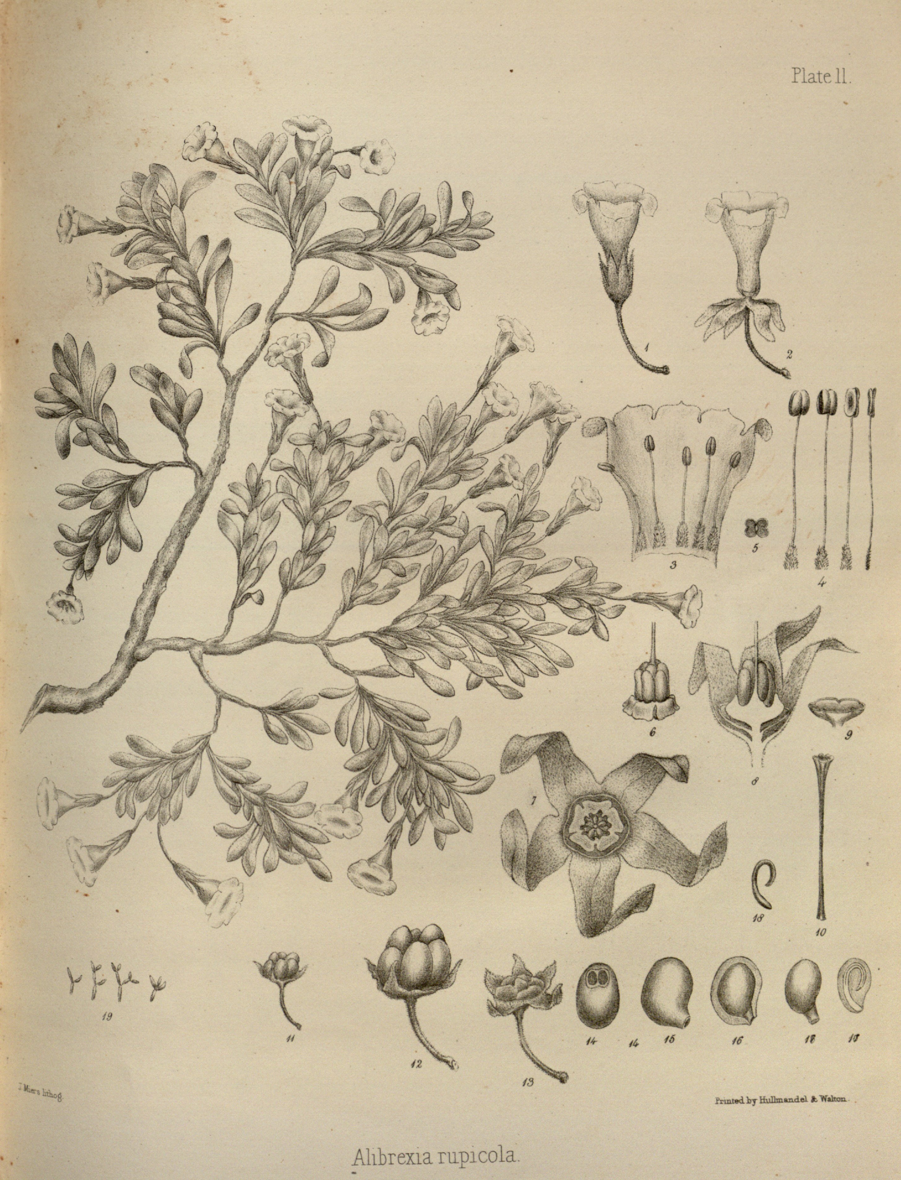 no full size  illustration available (3a)