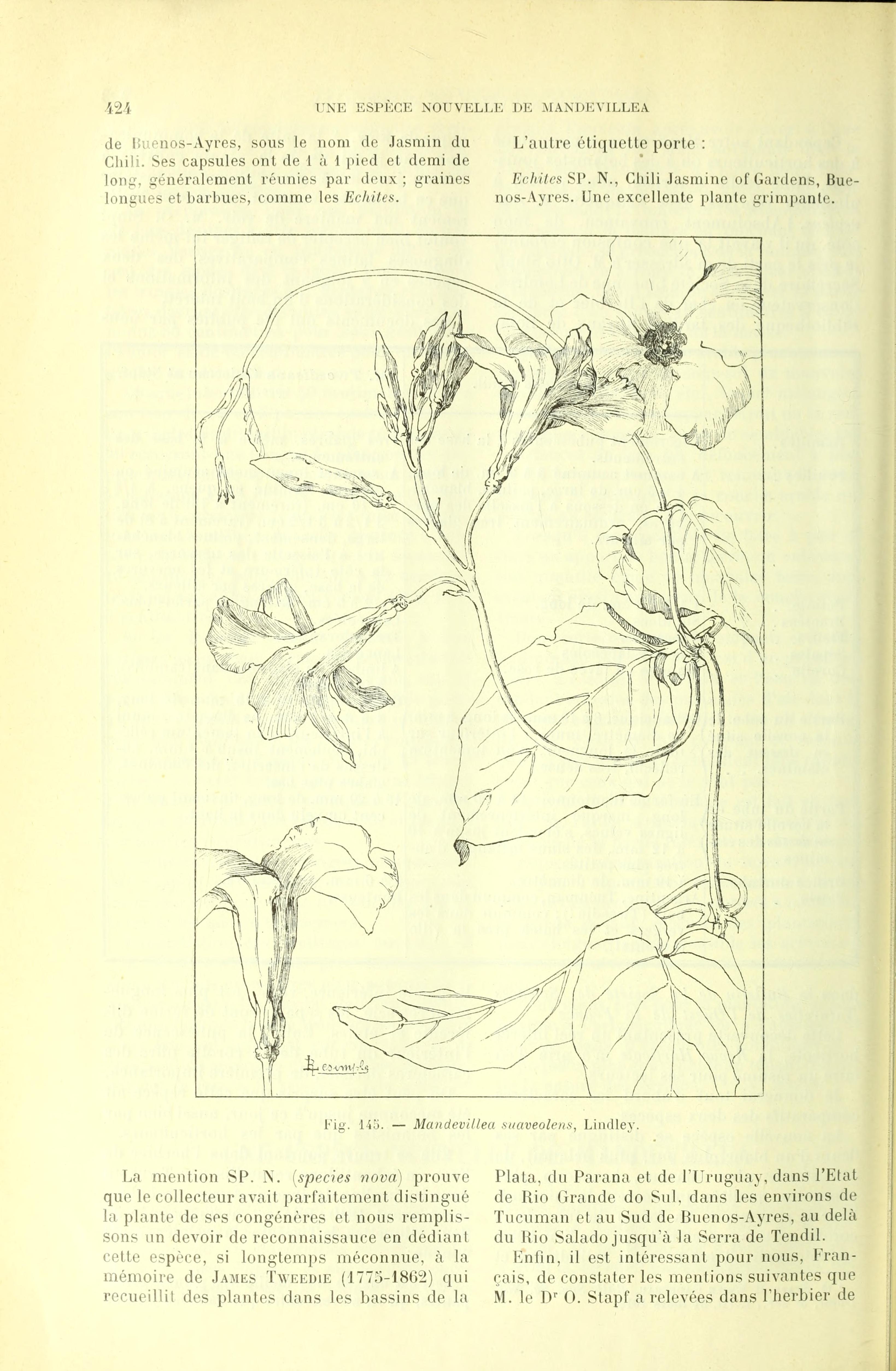 no full size  illustration available (3a)