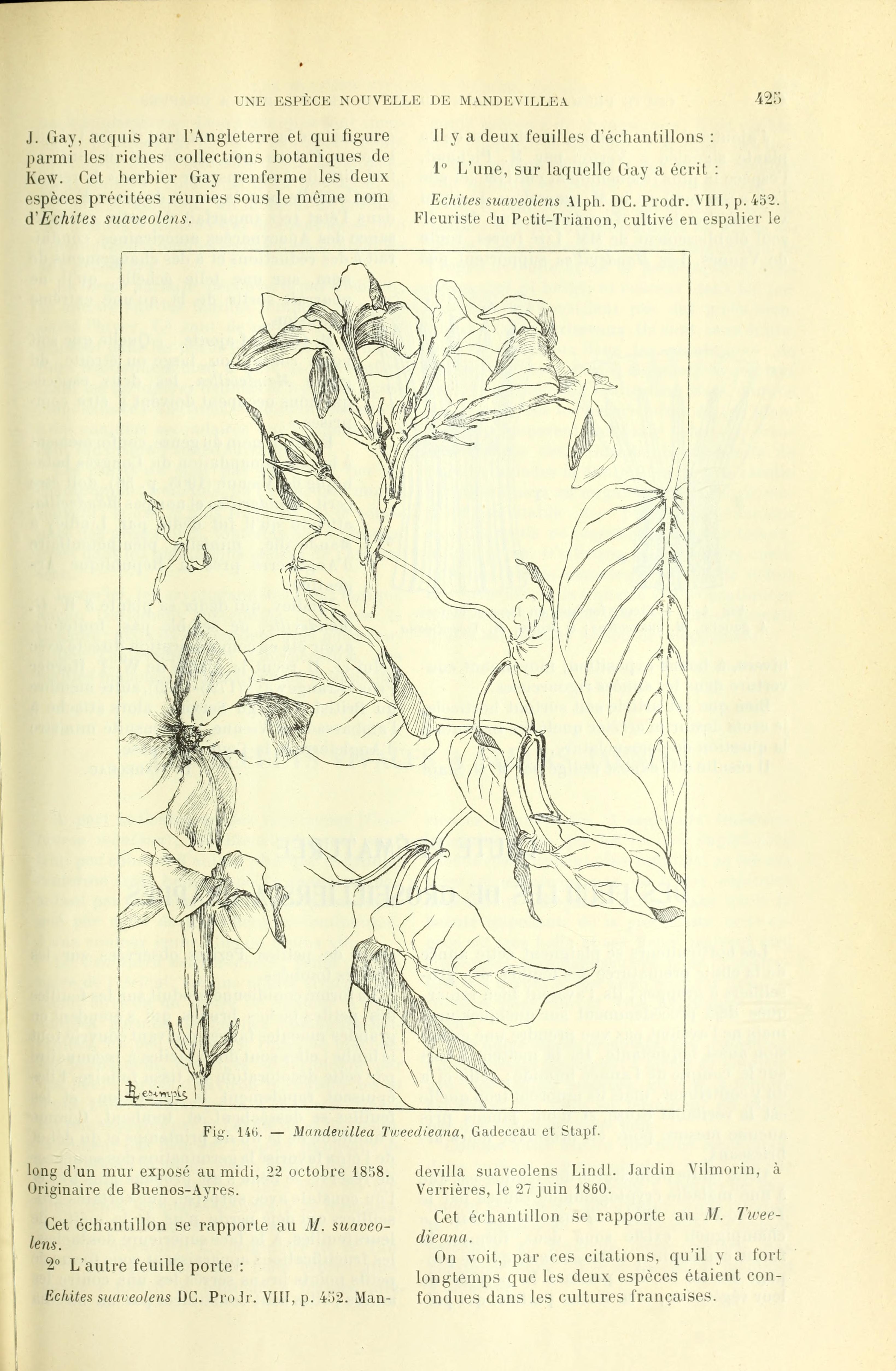 no full size  illustration available (3a)