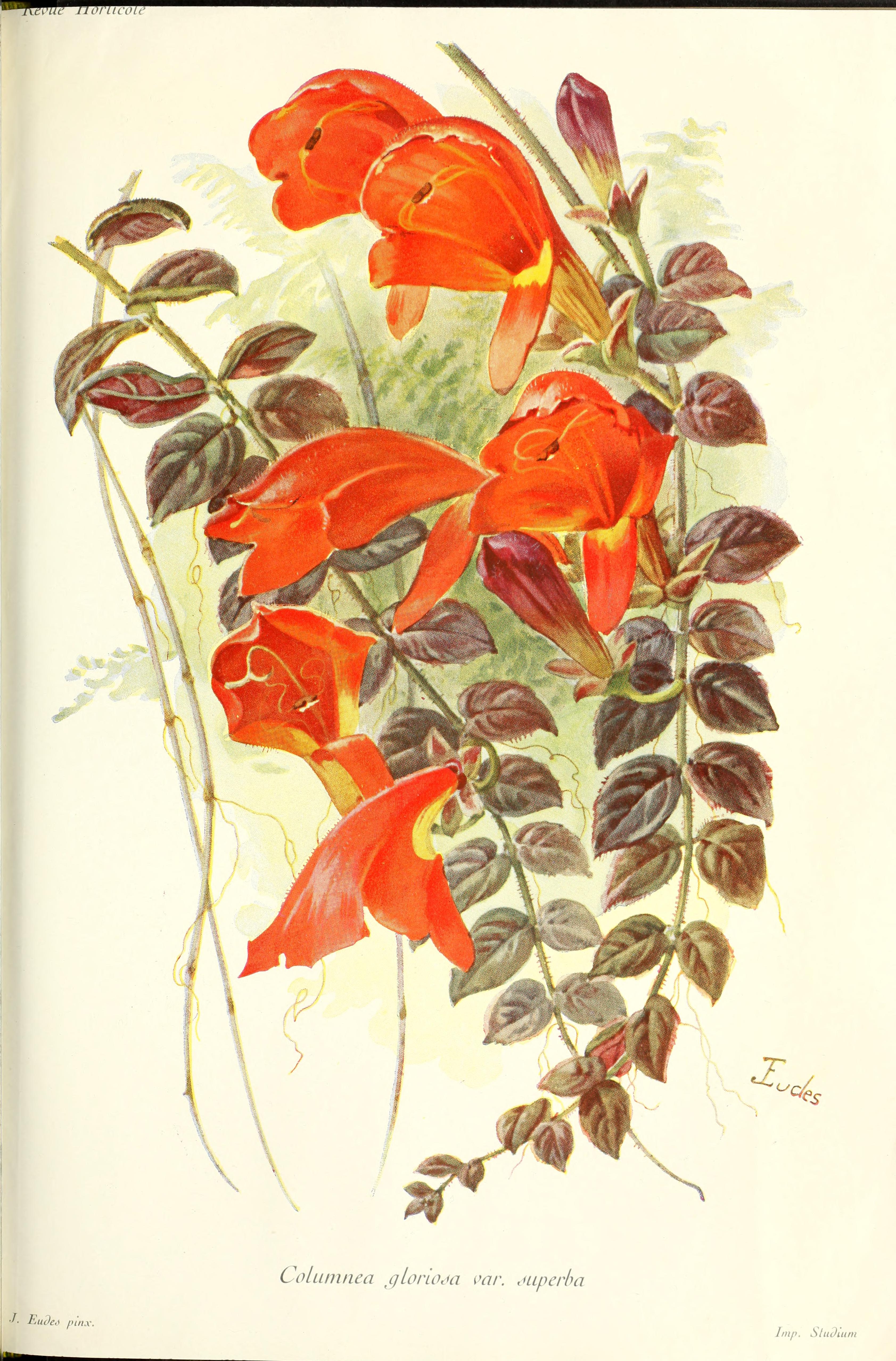 no full size  illustration available (3a)