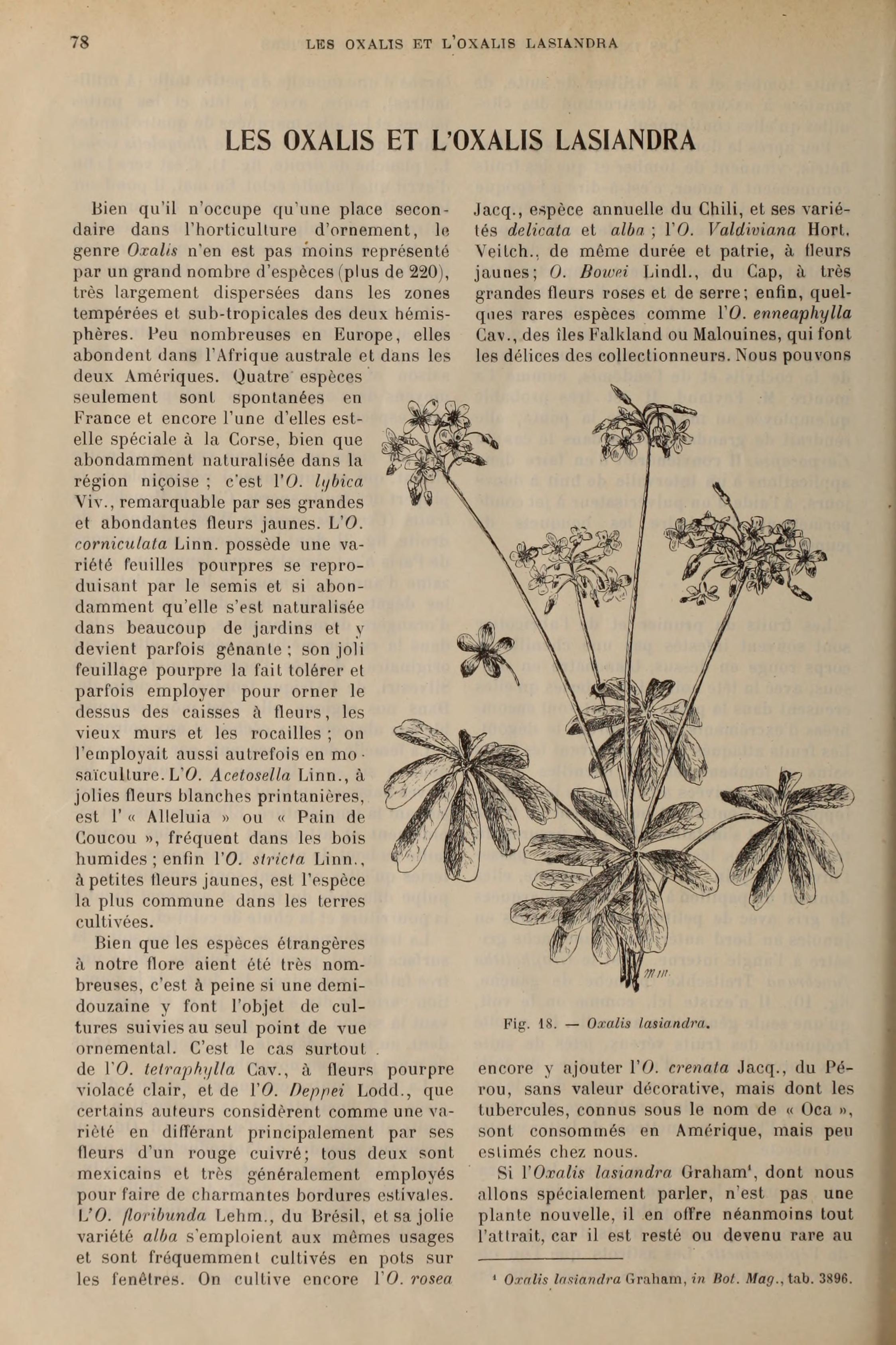 no full size  illustration available (3a)