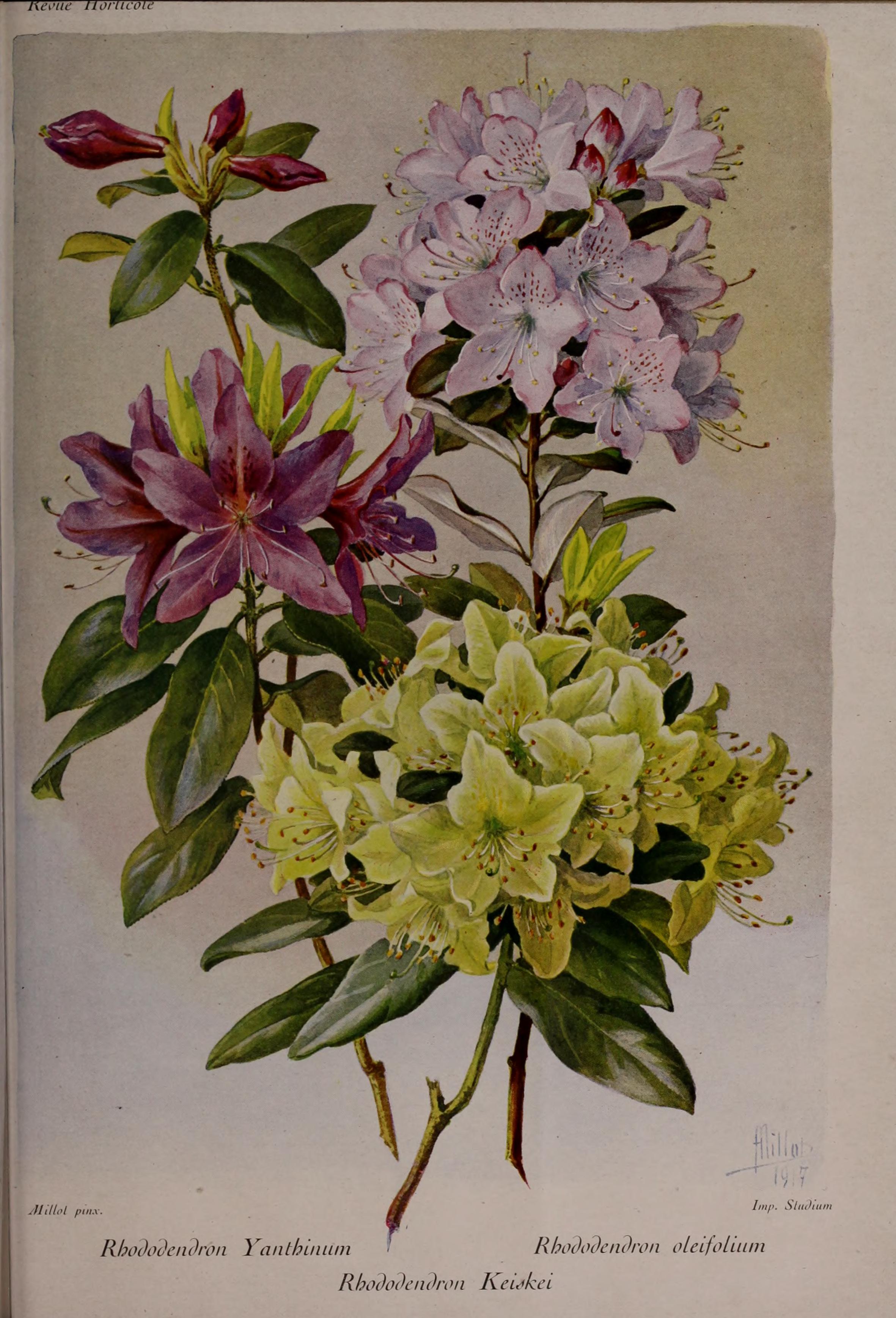 no full size  illustration available (3a)