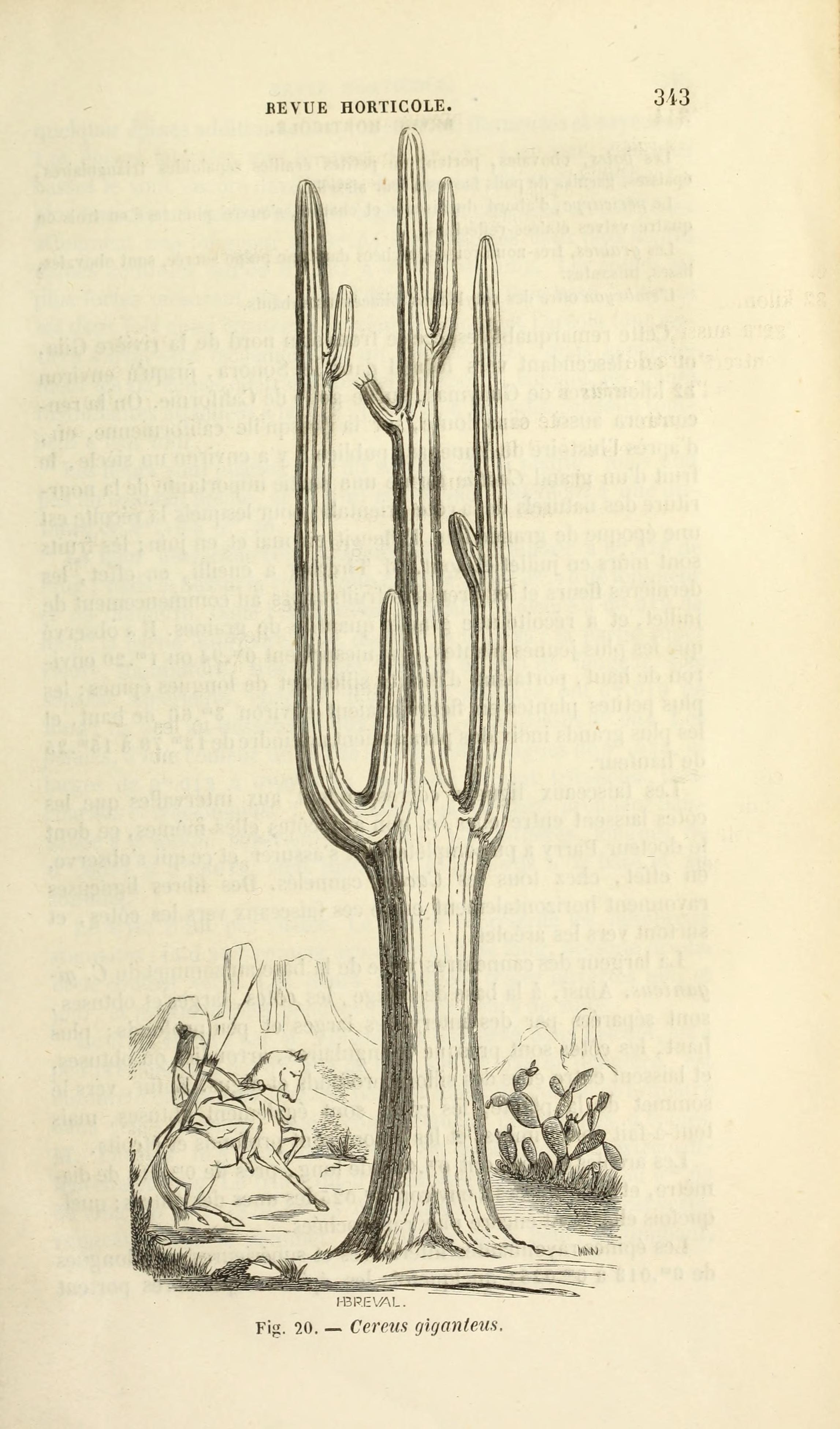 no full size  illustration available (3a)