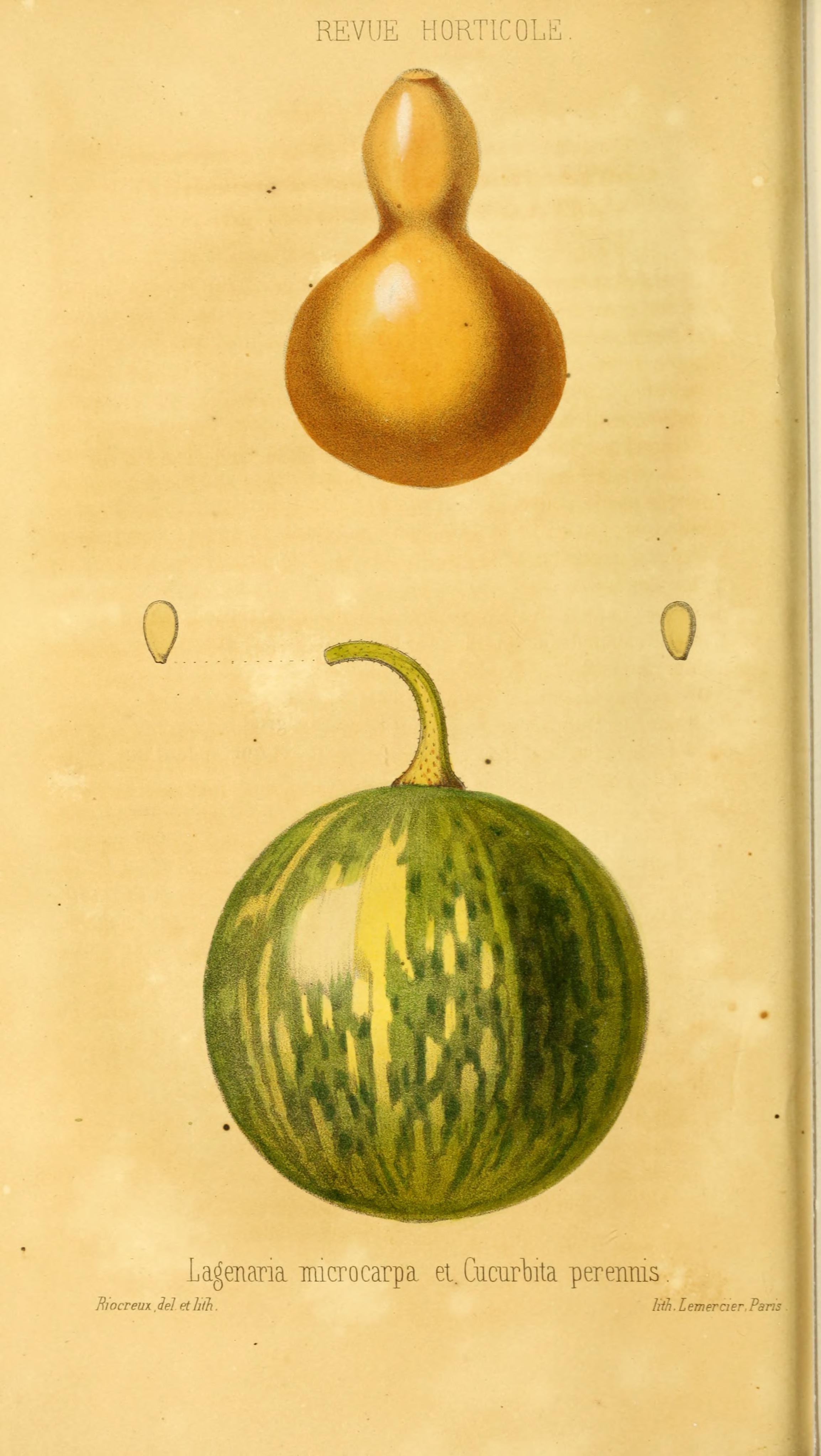 no full size  illustration available (3a)