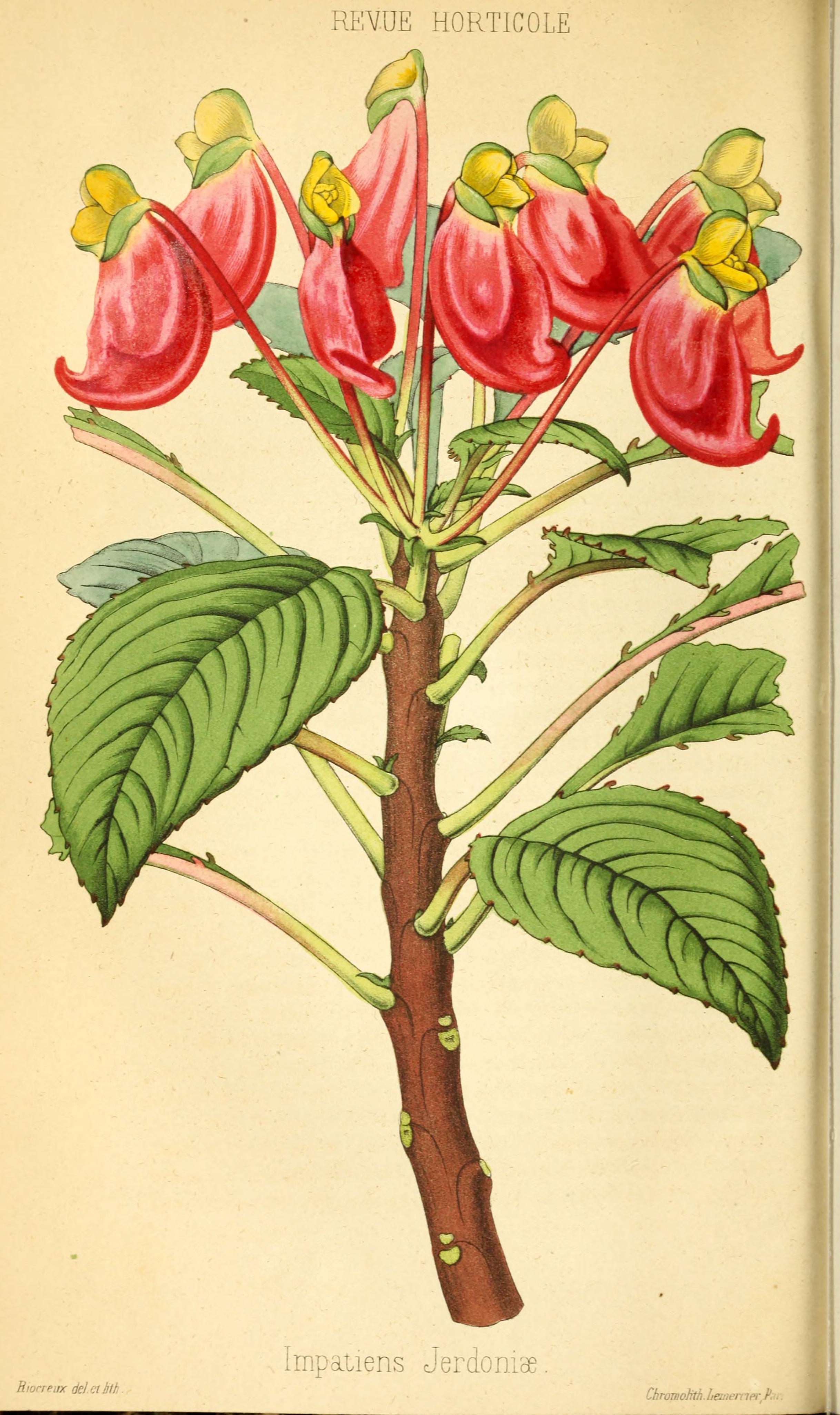 no full size  illustration available (3a)