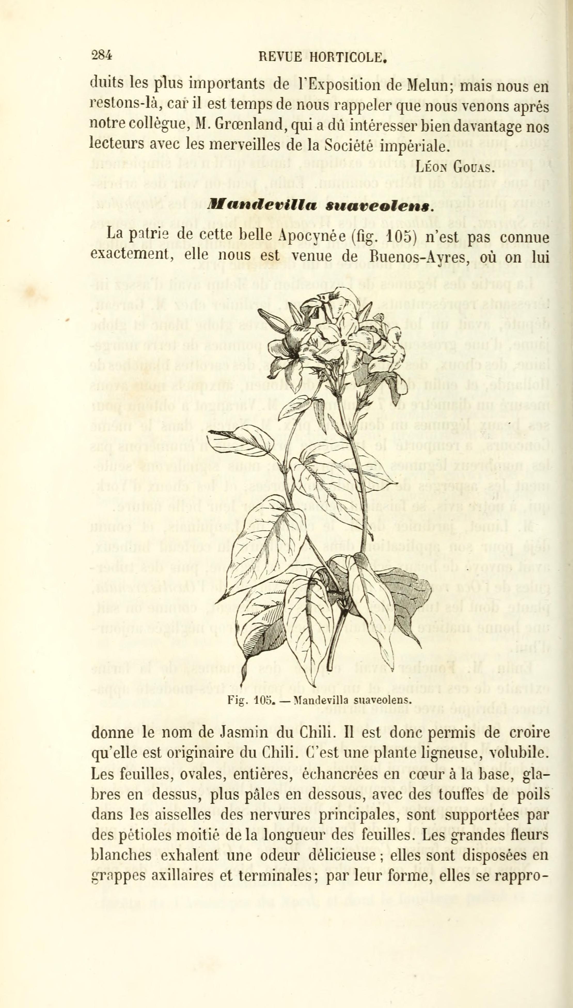 no full size  illustration available (3a)