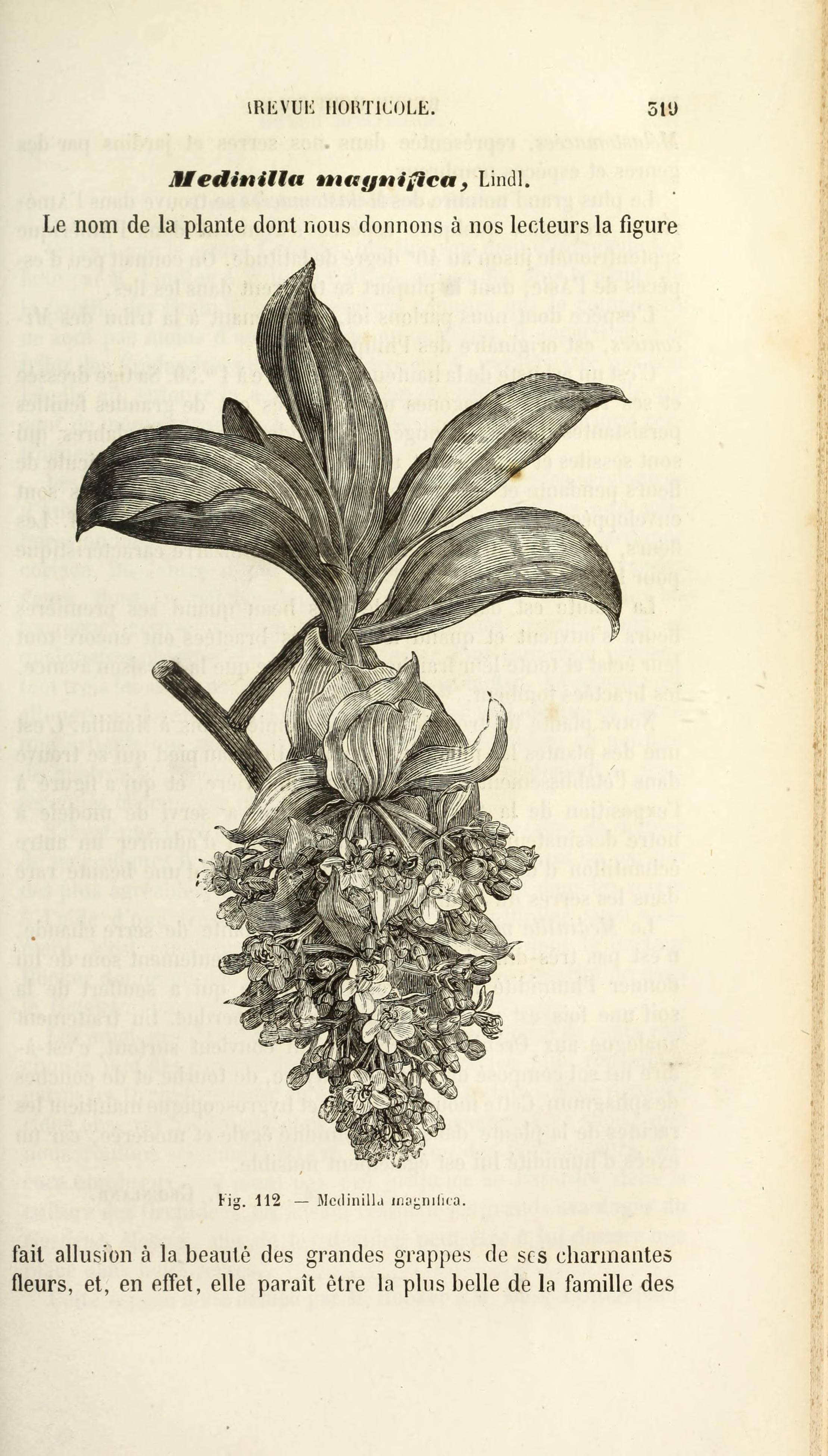 no full size  illustration available (3a)