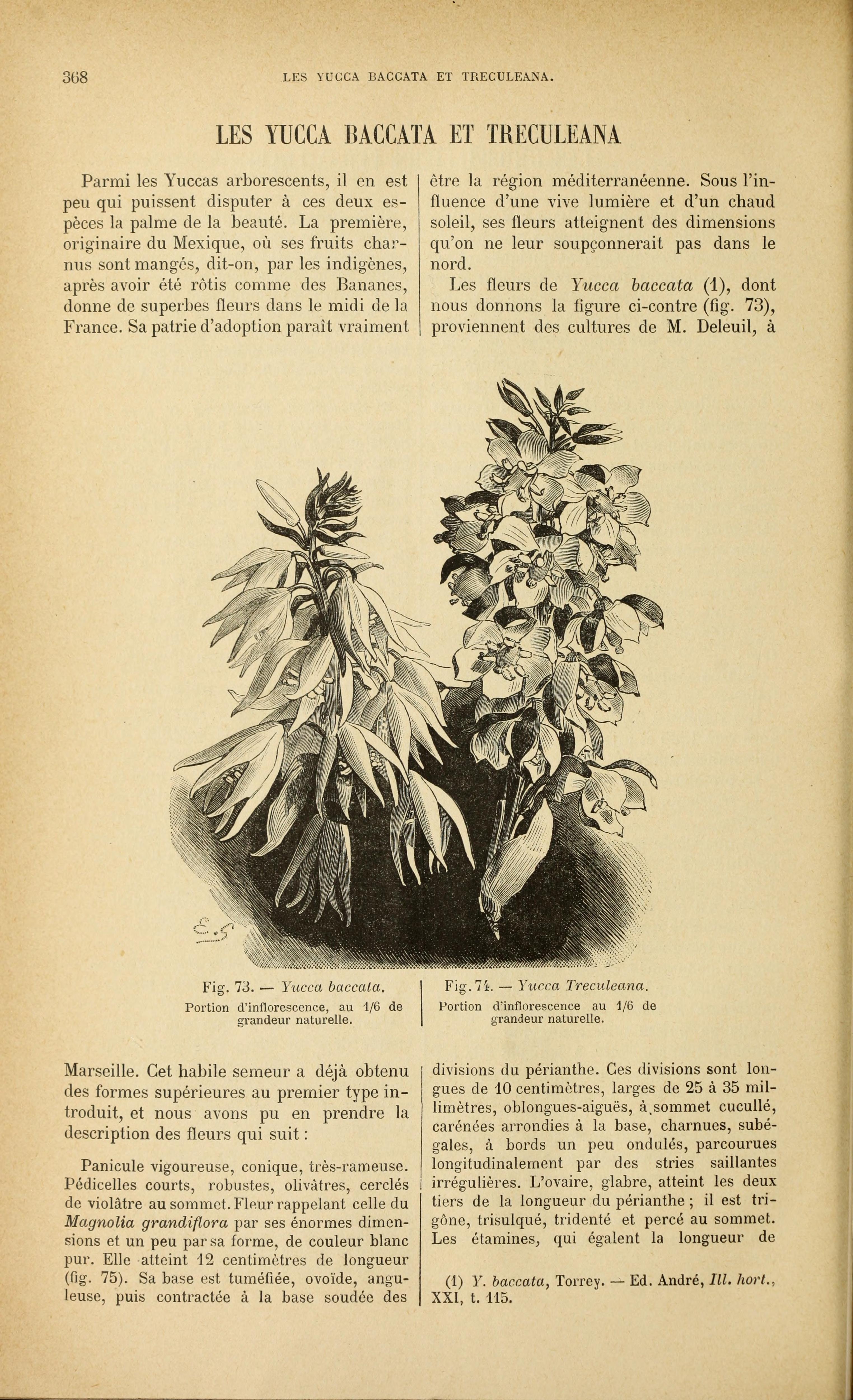 no full size  illustration available (3a)