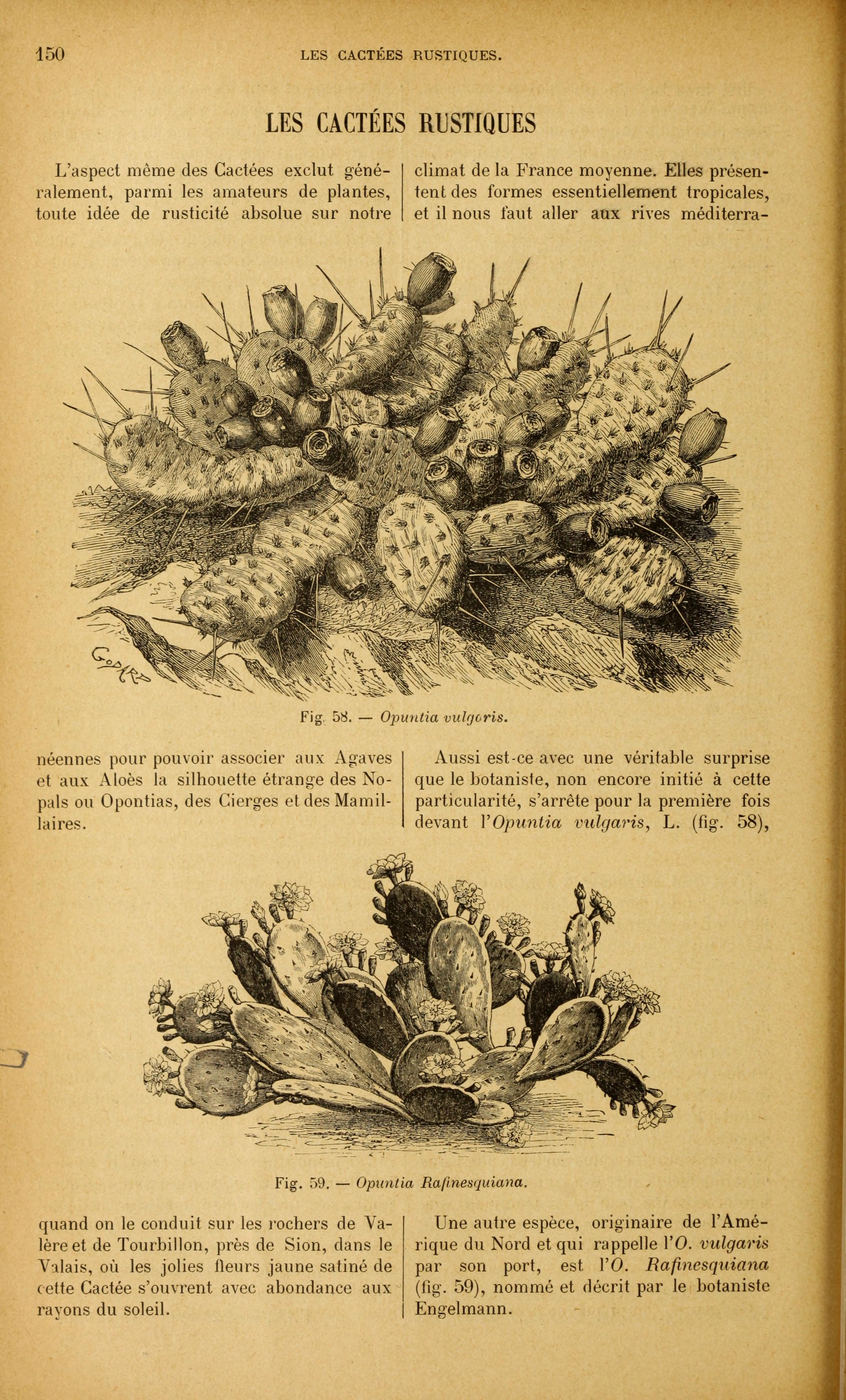 no full size  illustration available (3a)