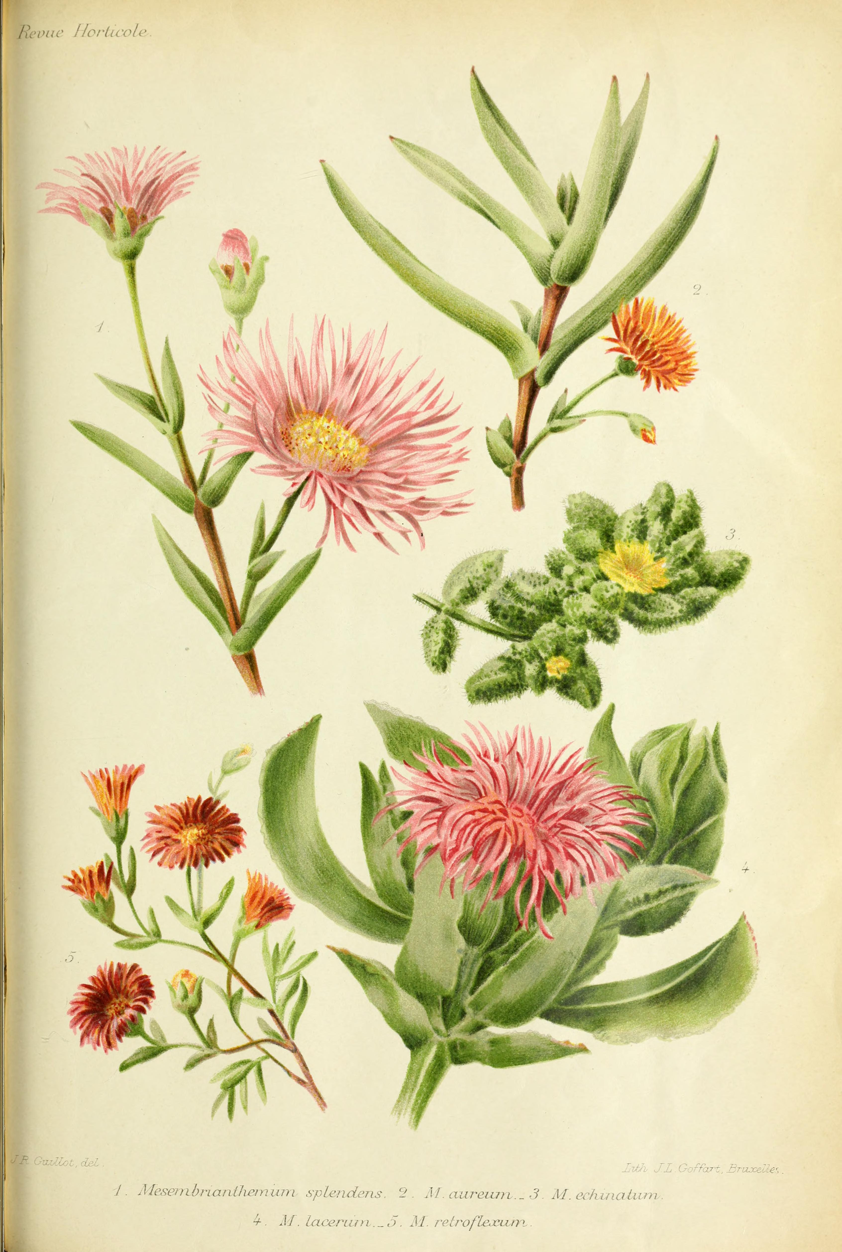 no full size  illustration available (3a)