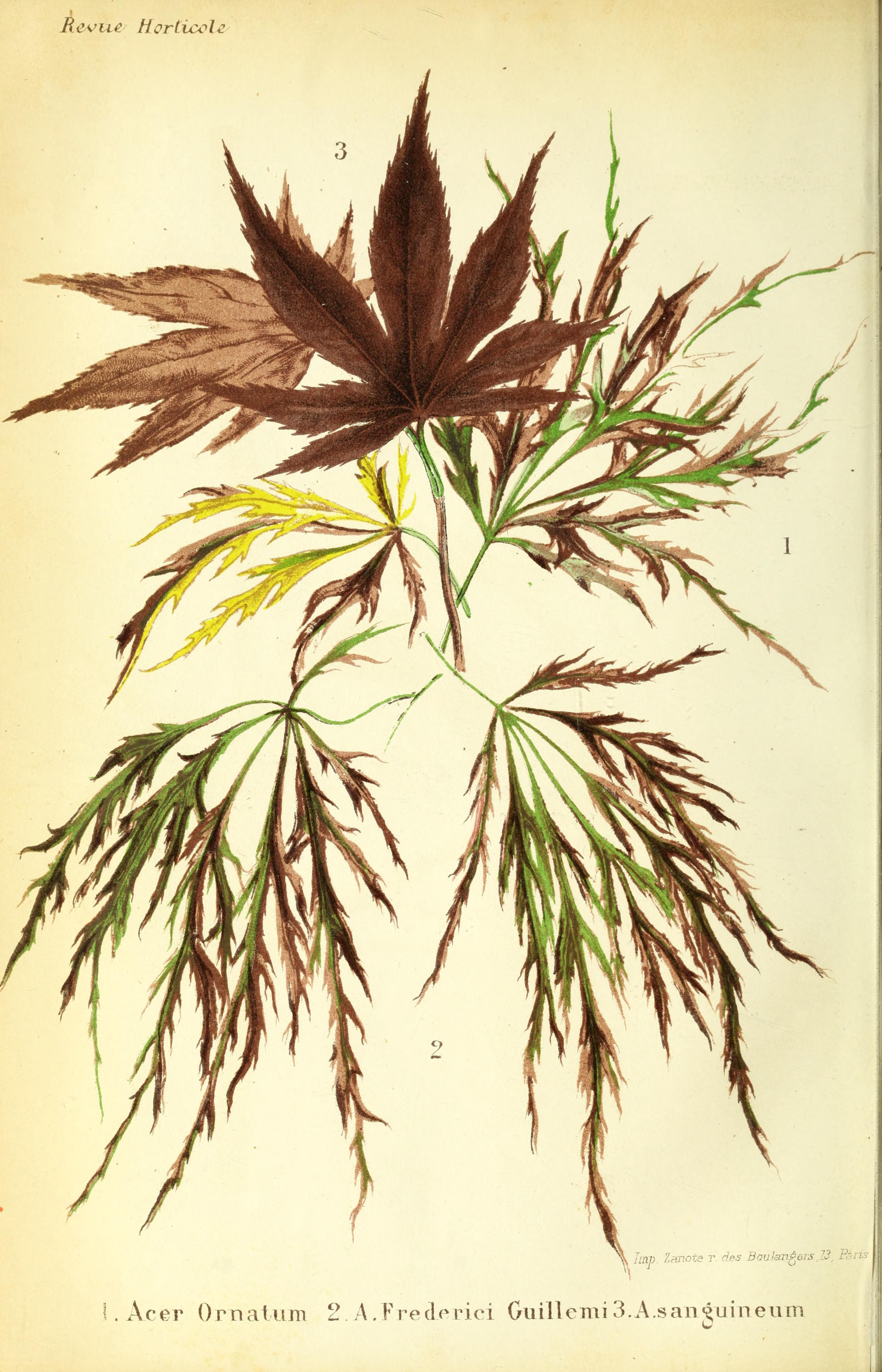 no full size  illustration available (3a)