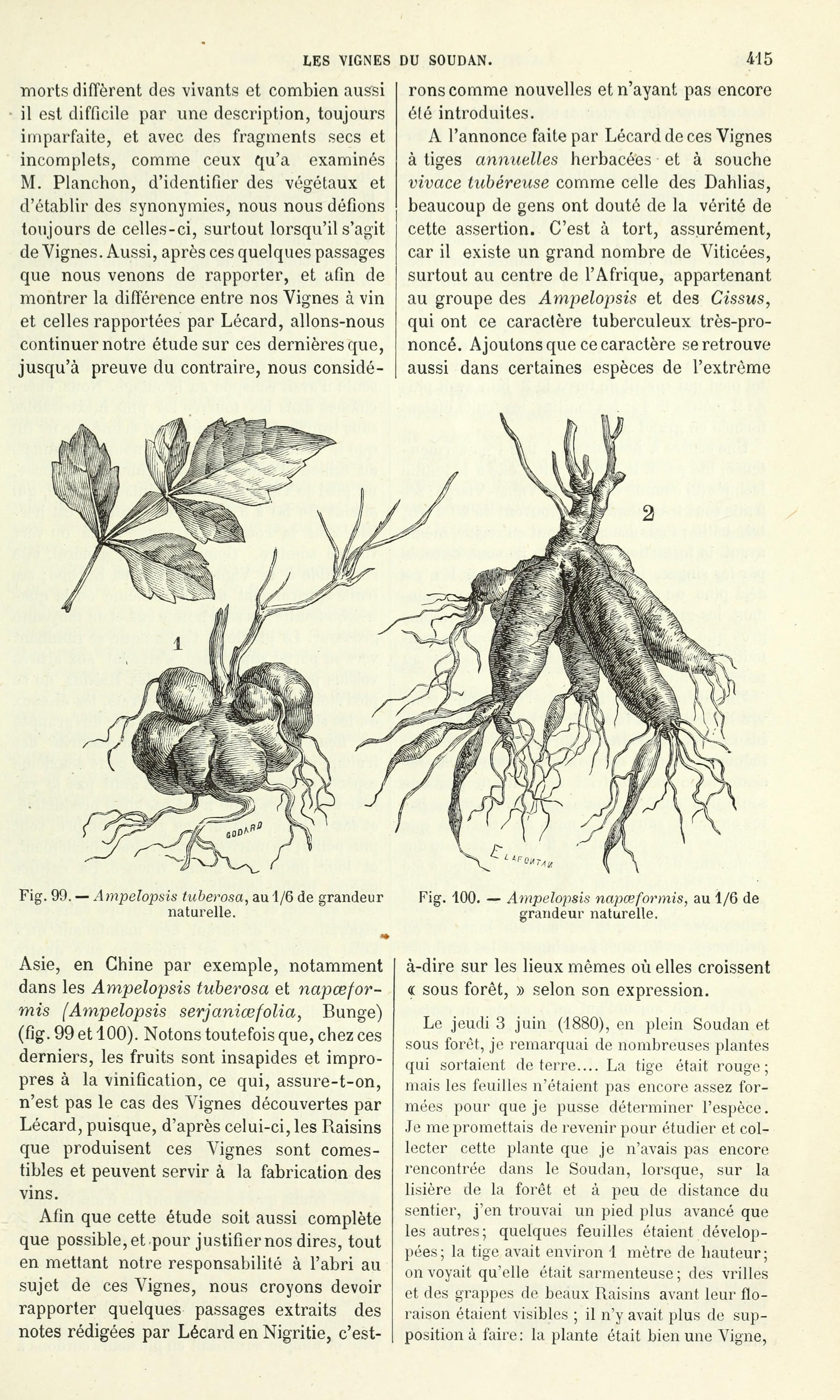 no full size  illustration available (3a)