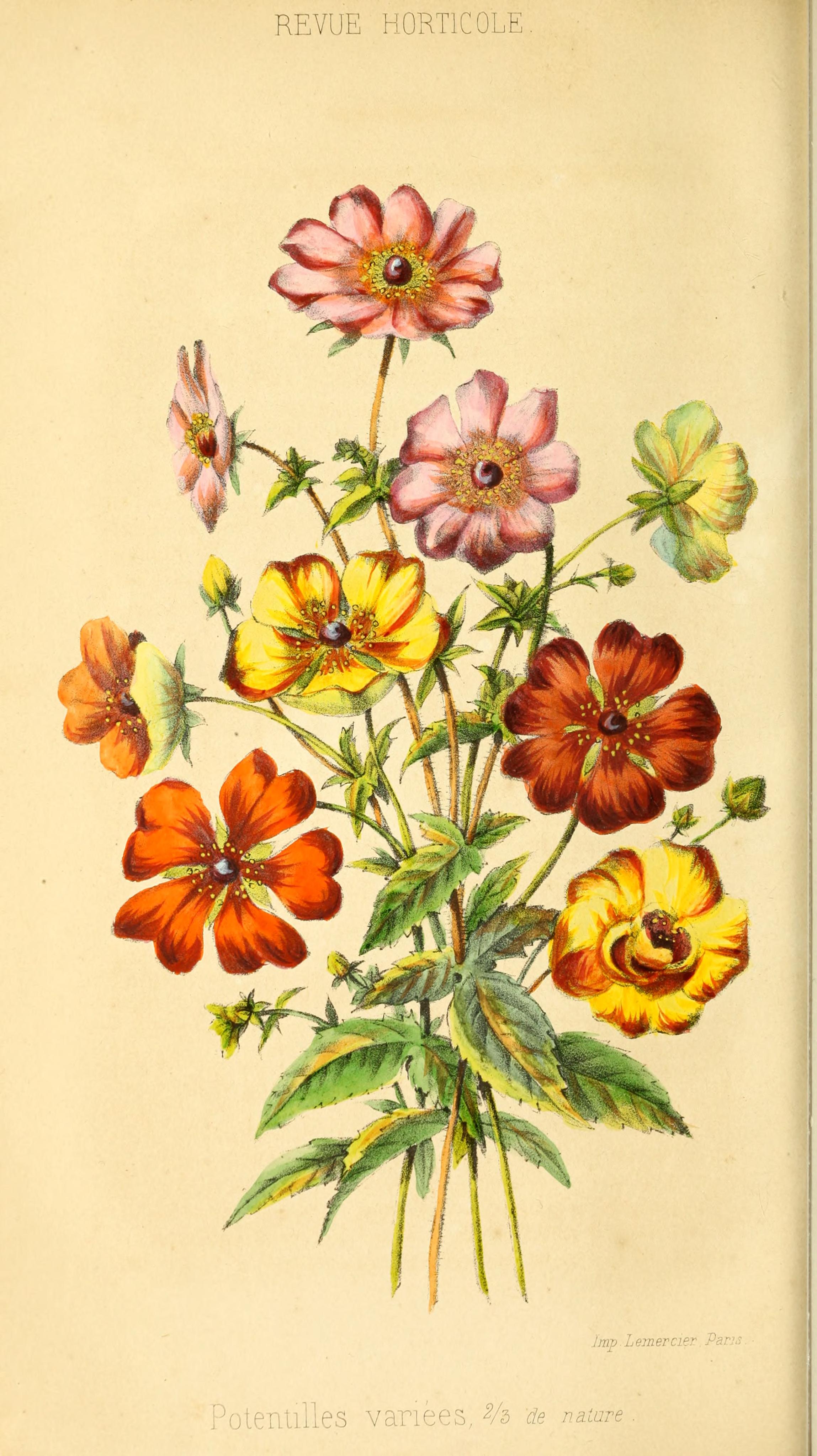 no full size  illustration available (3a)