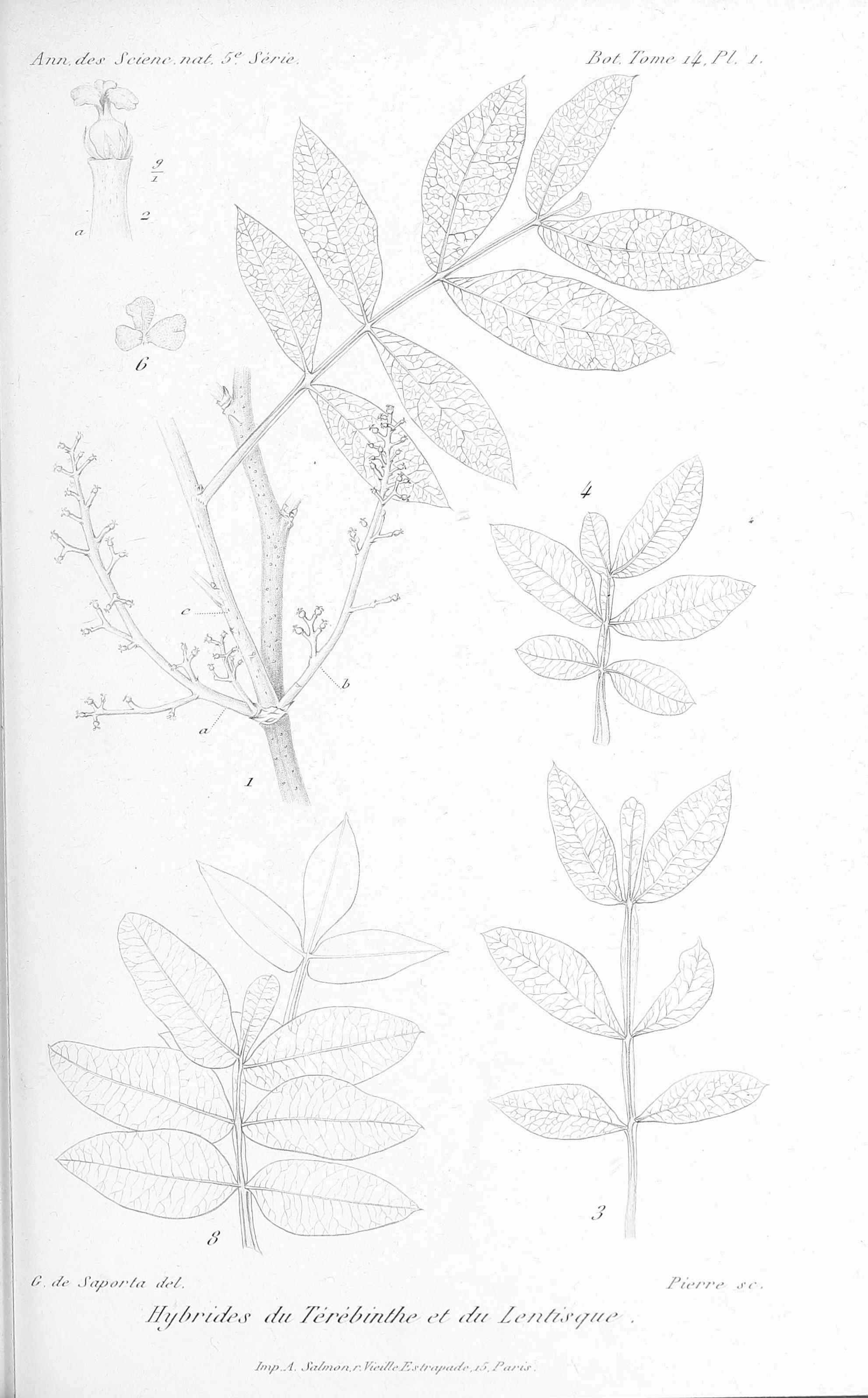 no full size  illustration available (3a)