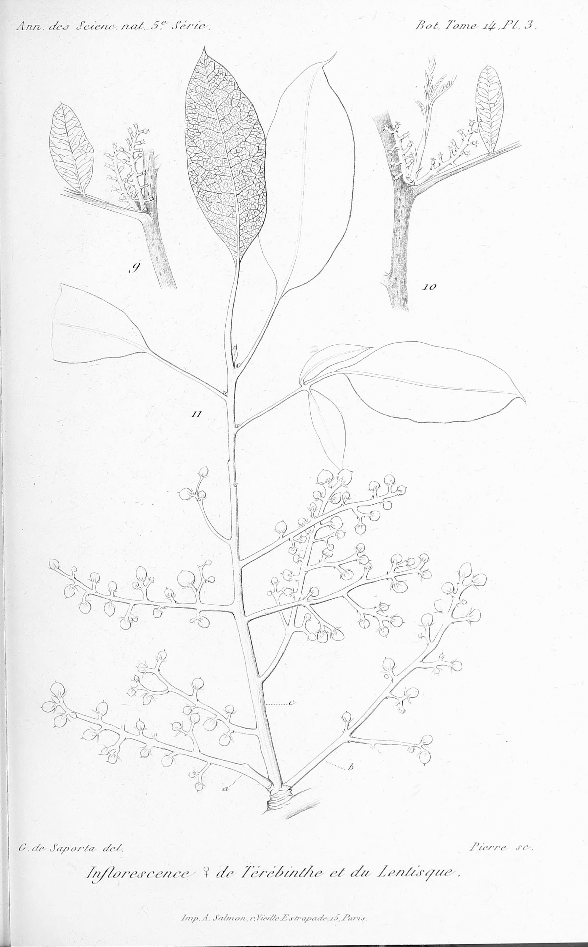 no full size  illustration available (3a)