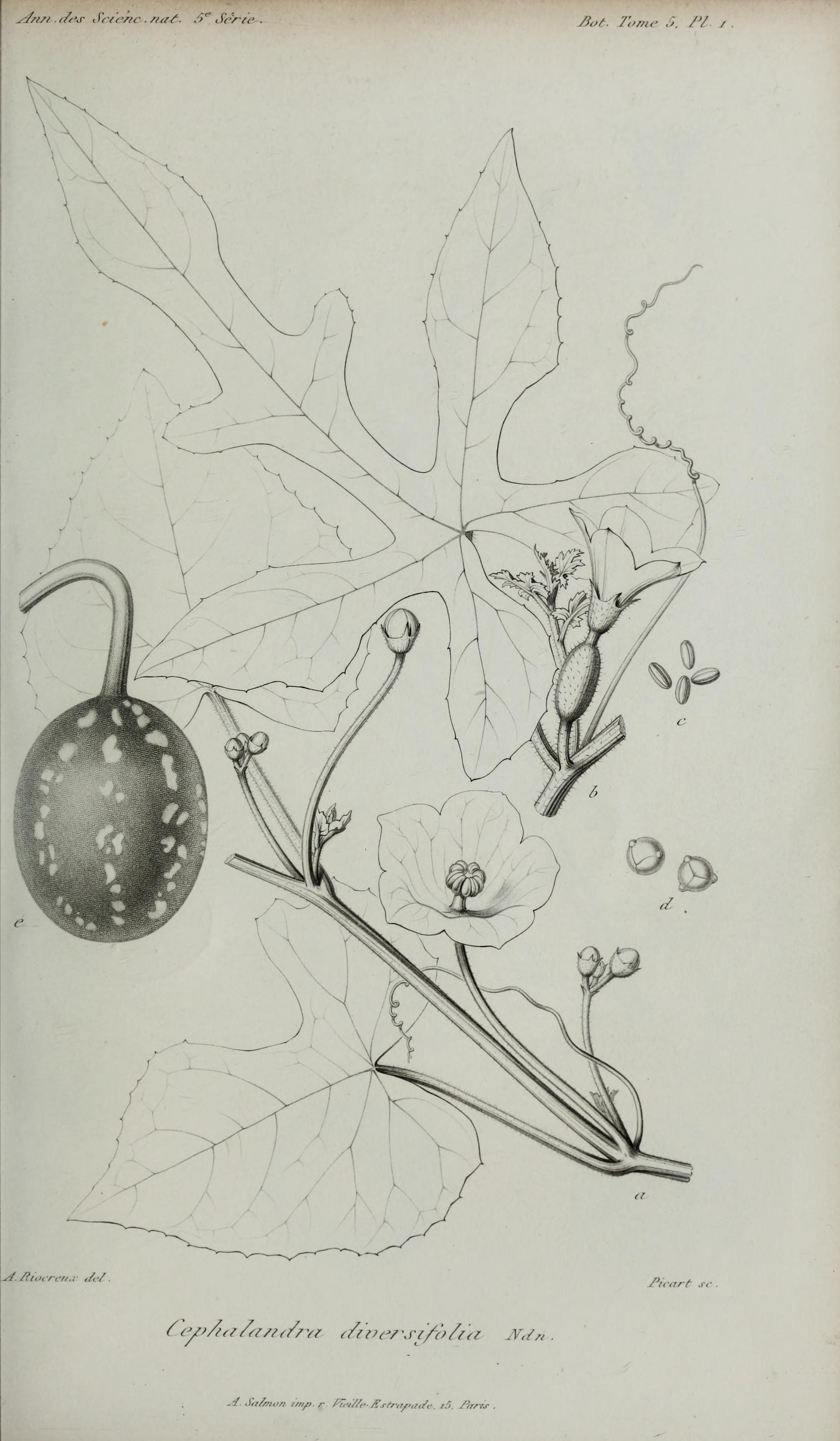 no full size  illustration available (3a)