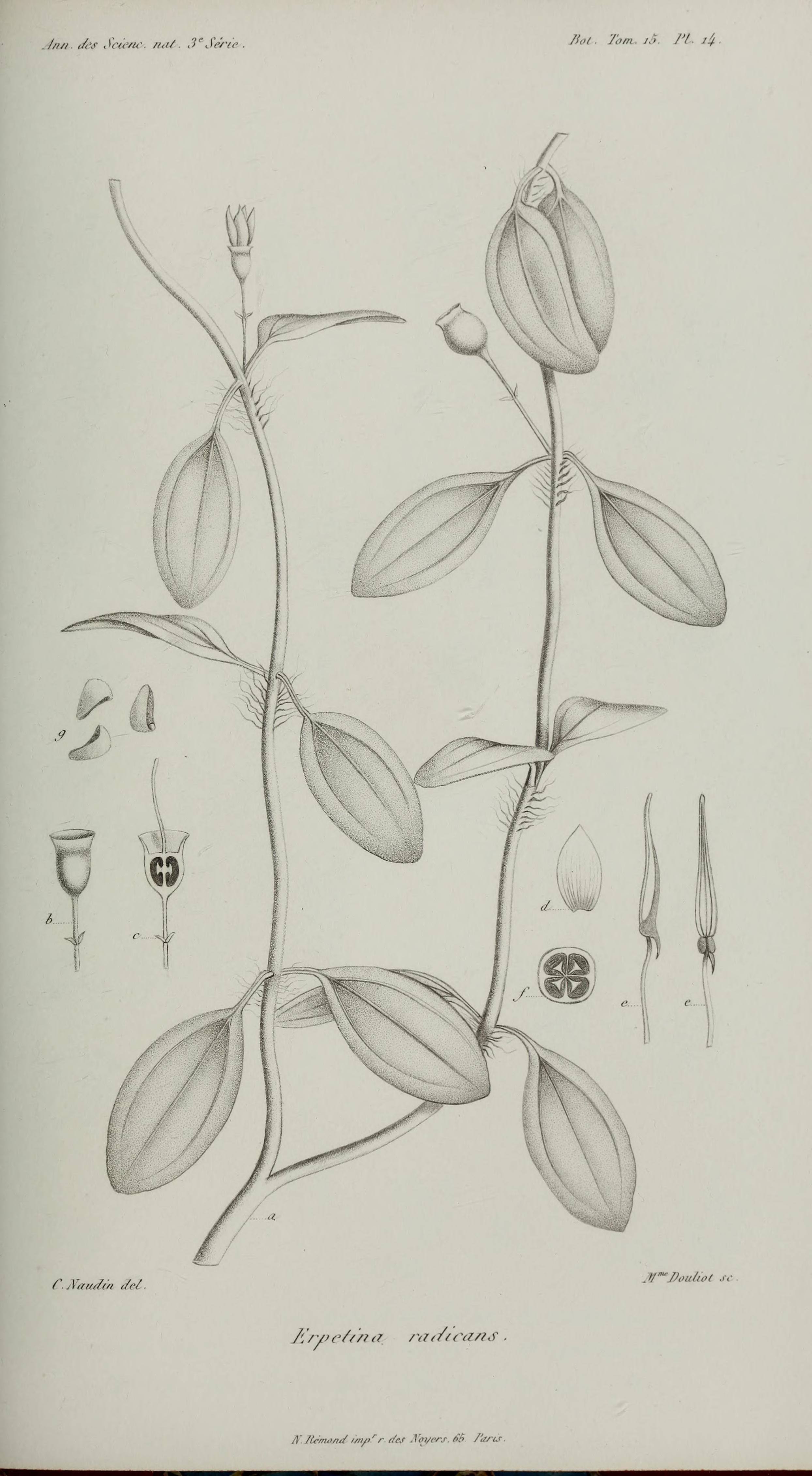 no full size  illustration available (3a)