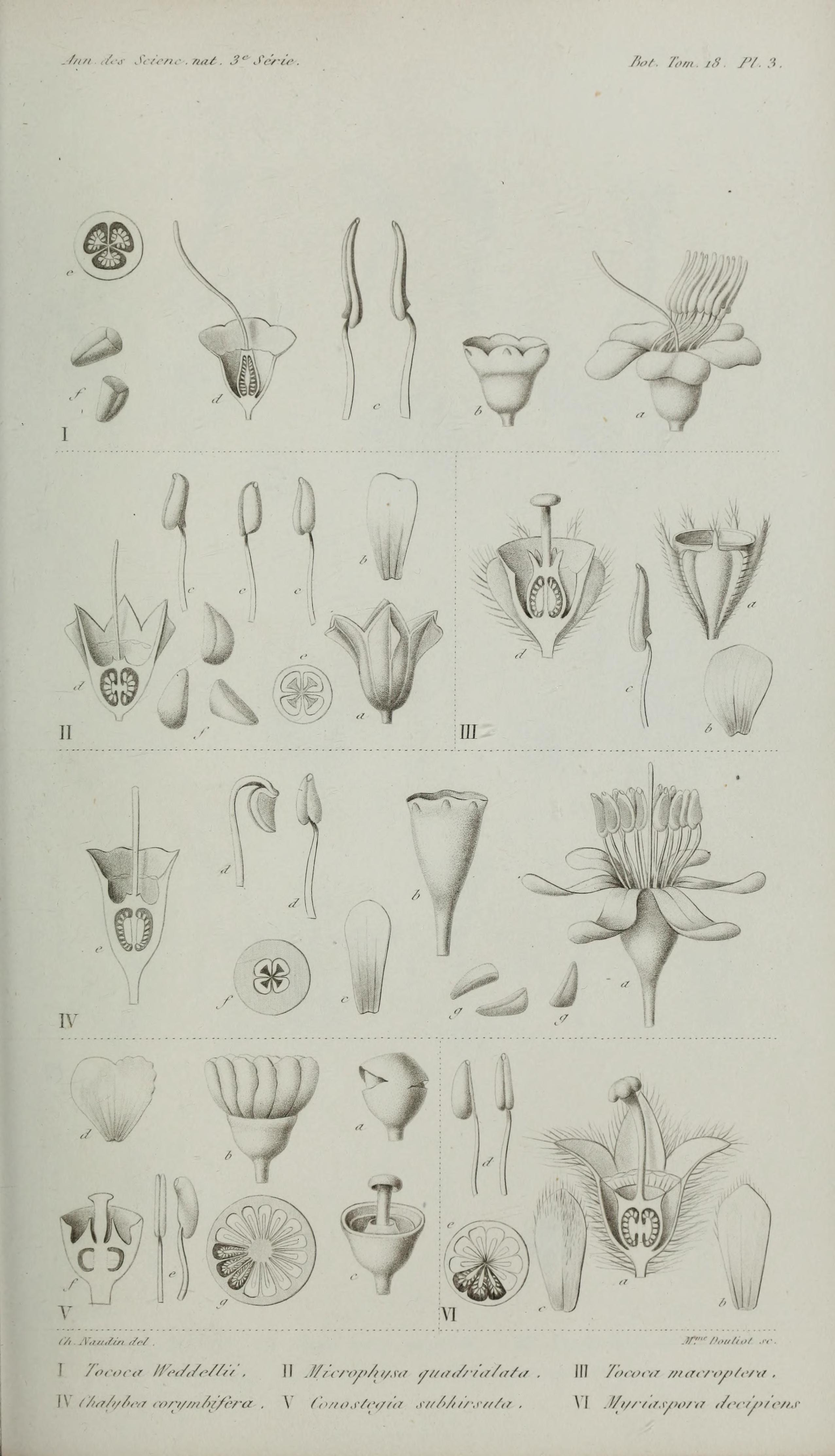 no full size  illustration available (3a)