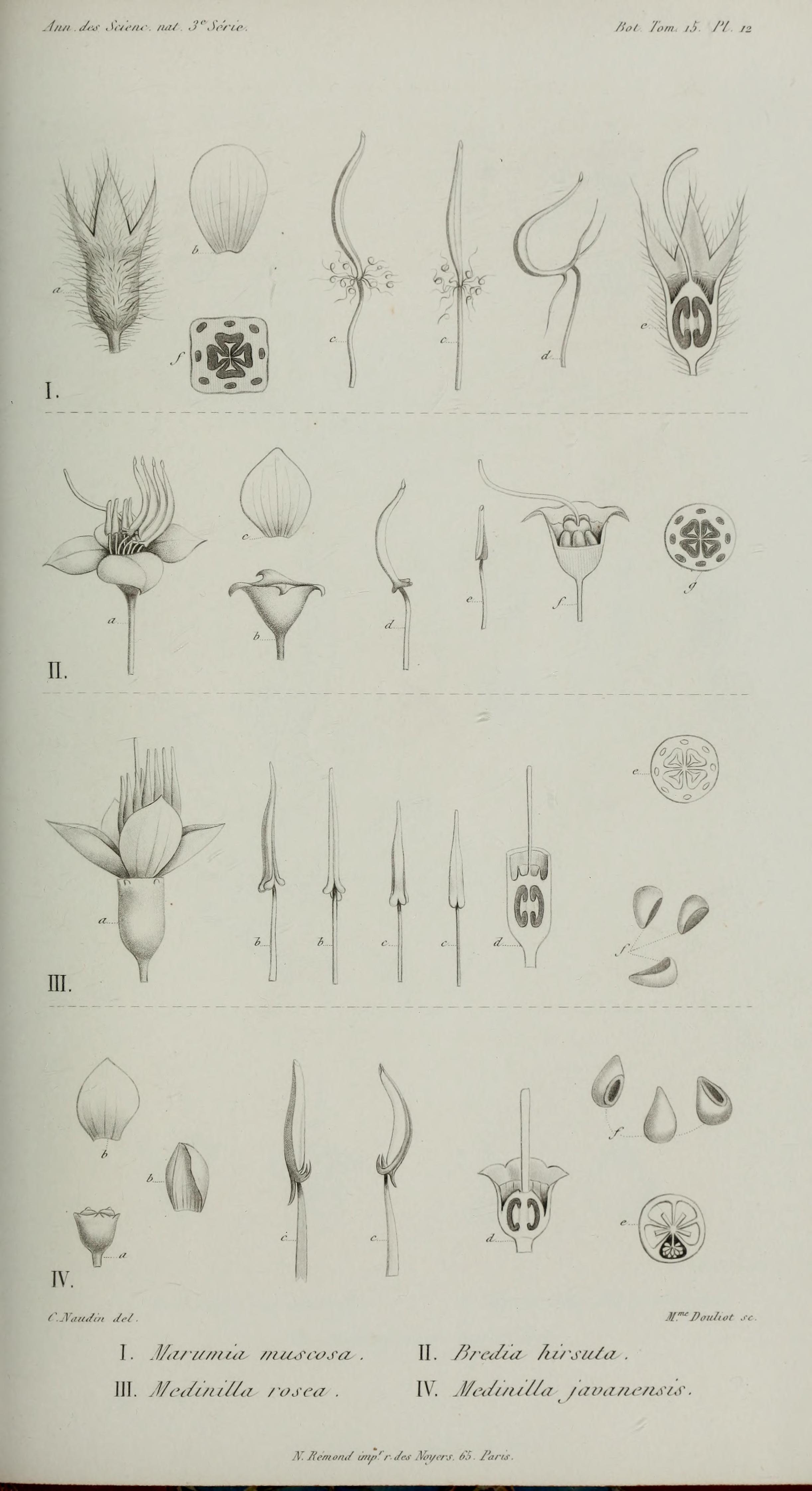 no full size  illustration available (3a)