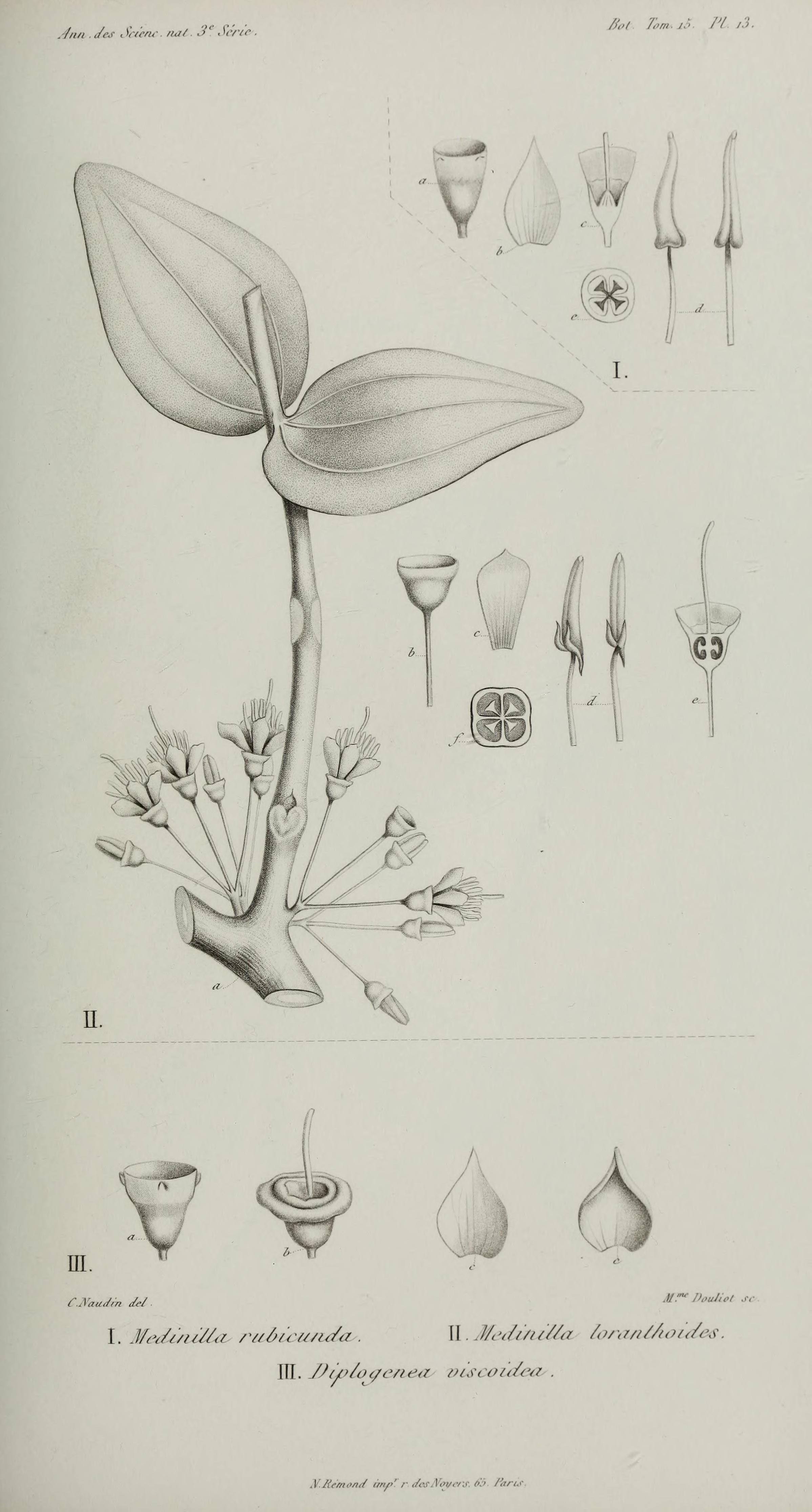 no full size  illustration available (3a)