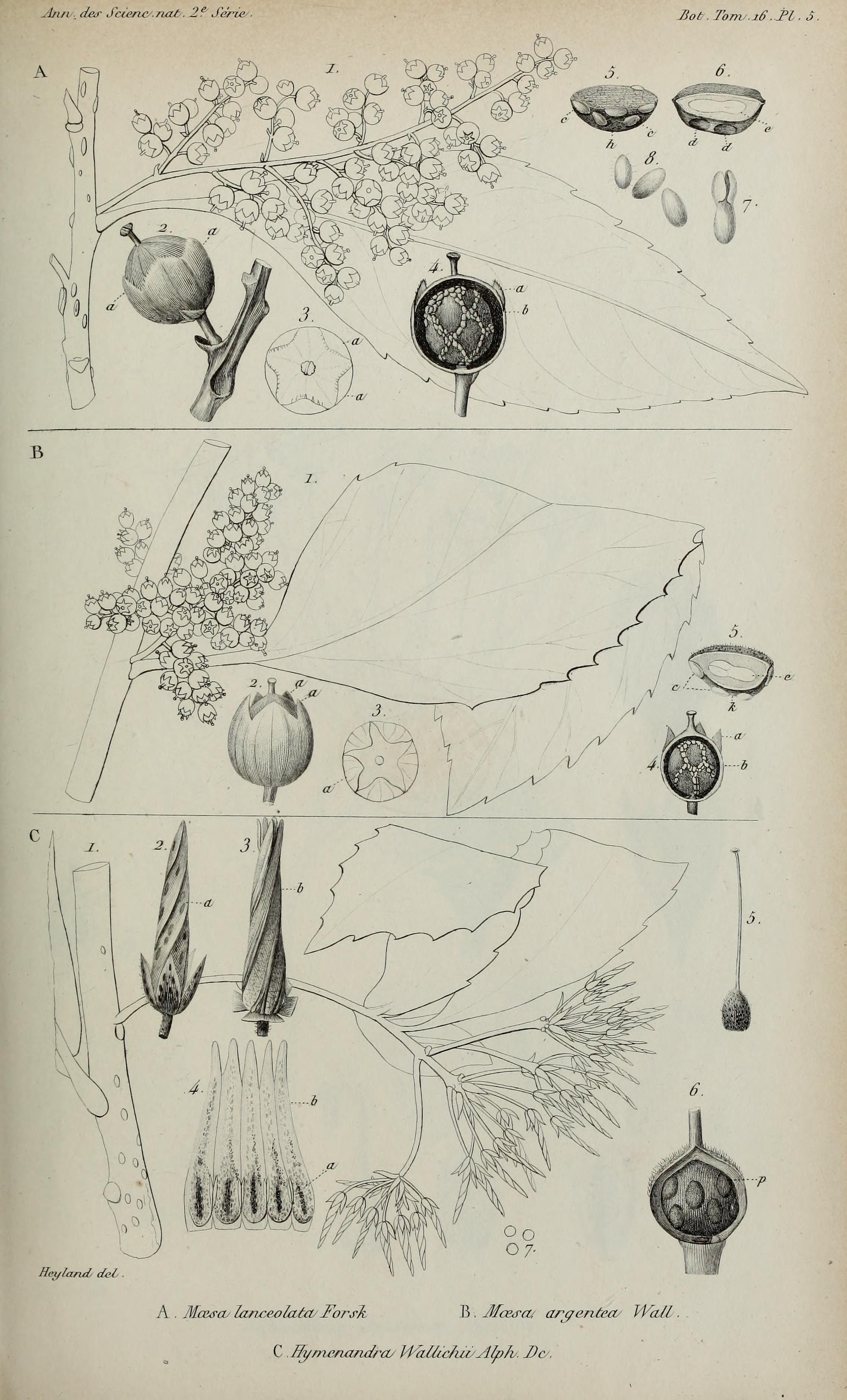 no full size  illustration available (3a)