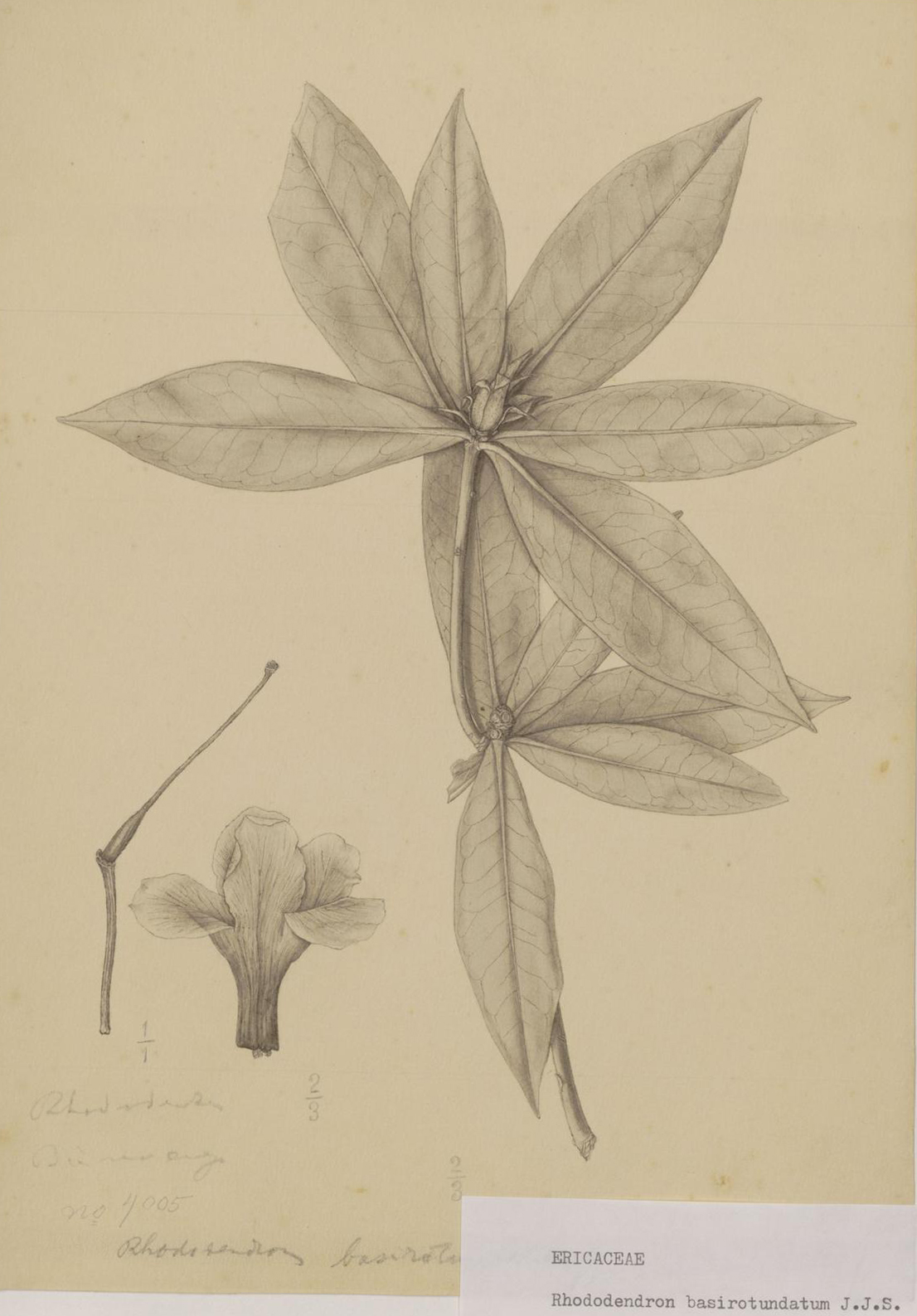 no full size  illustration available (3a)