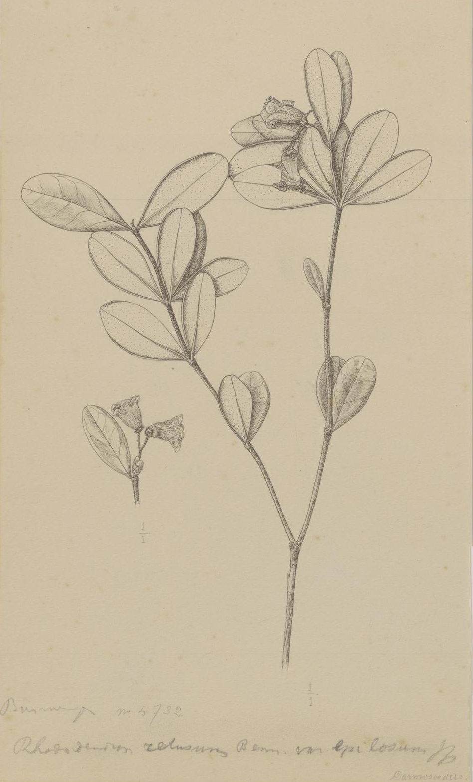 no full size  illustration available (3a)