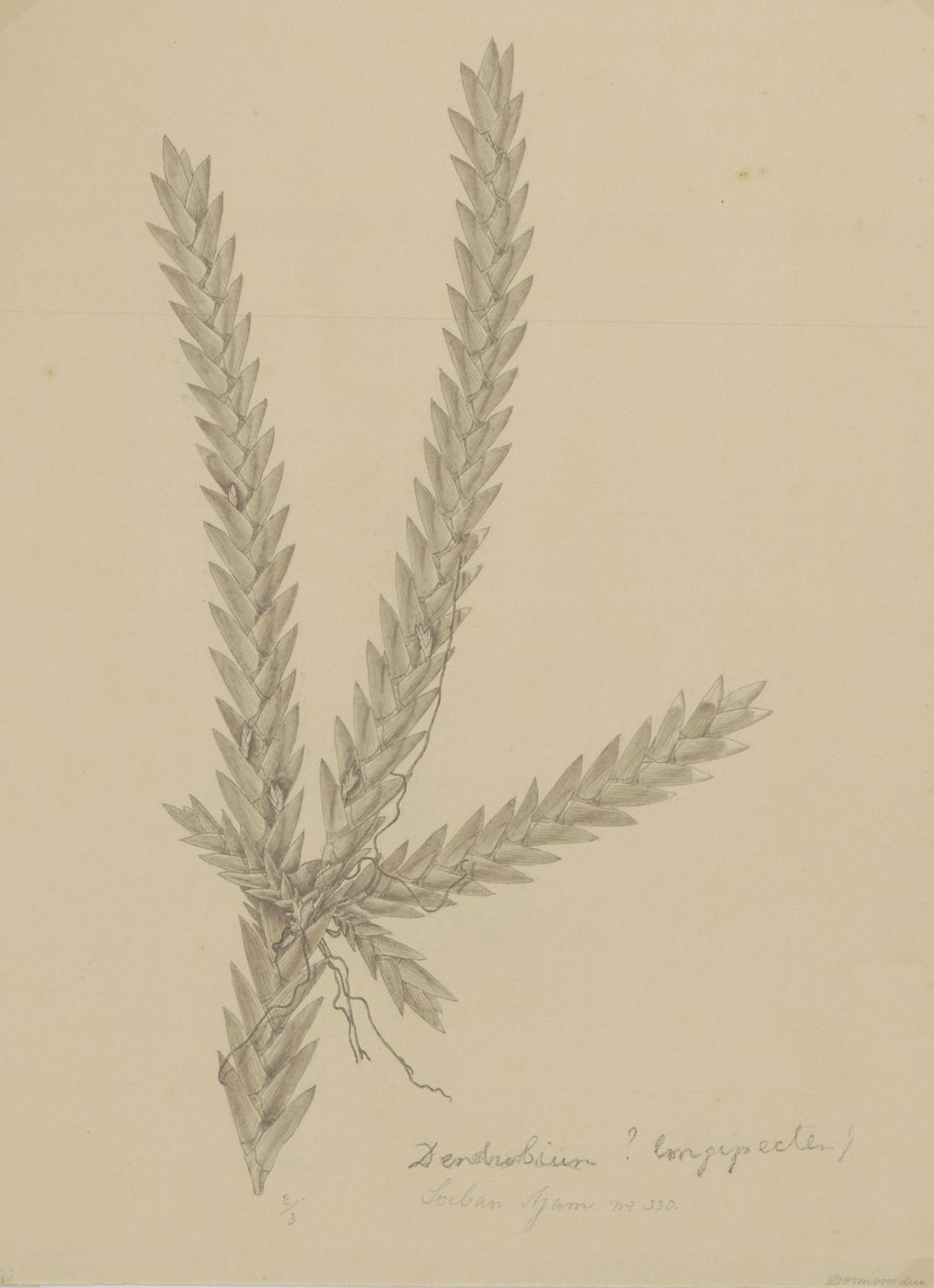 no full size  illustration available (3a)