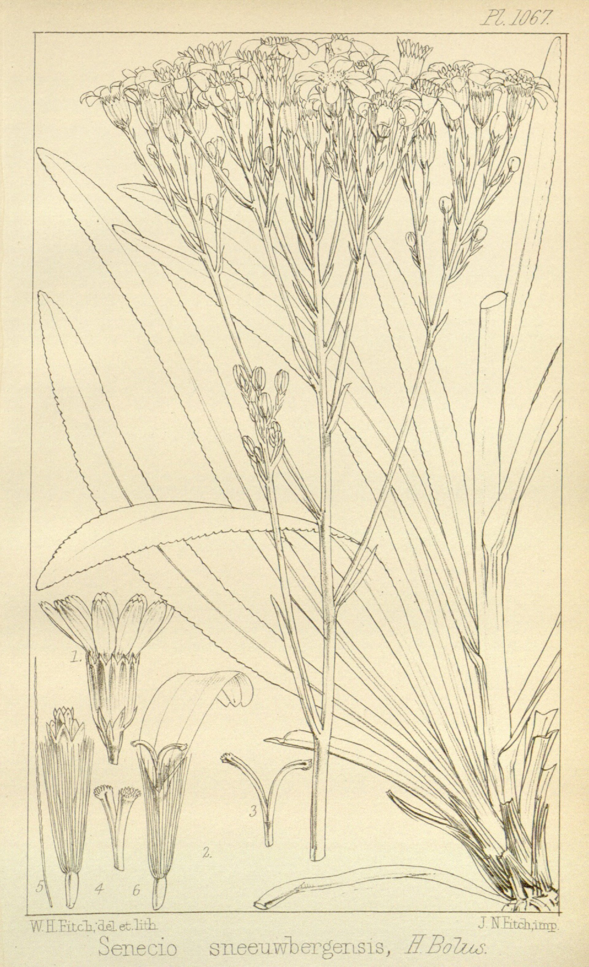 no full size  illustration available (3a)