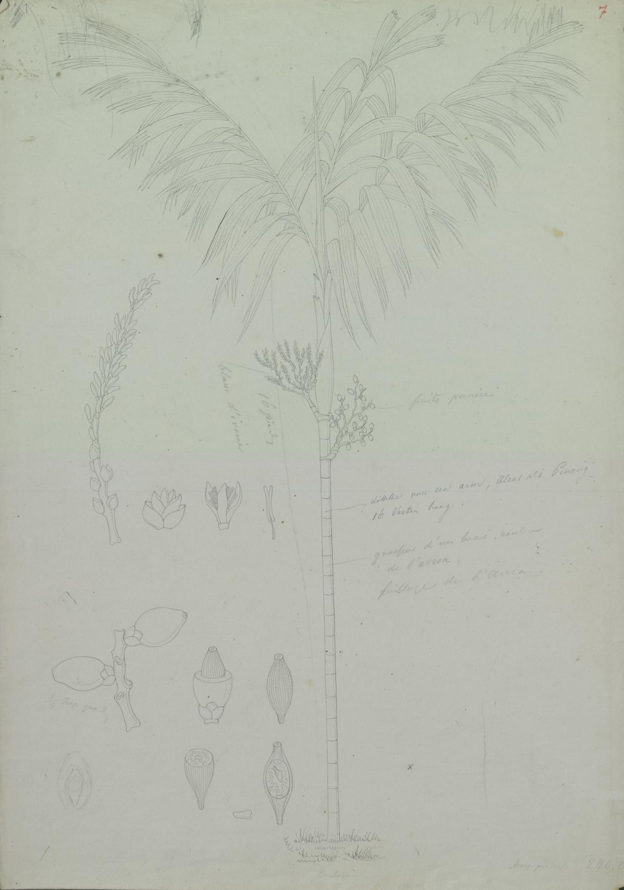 no full size  illustration available (3a)