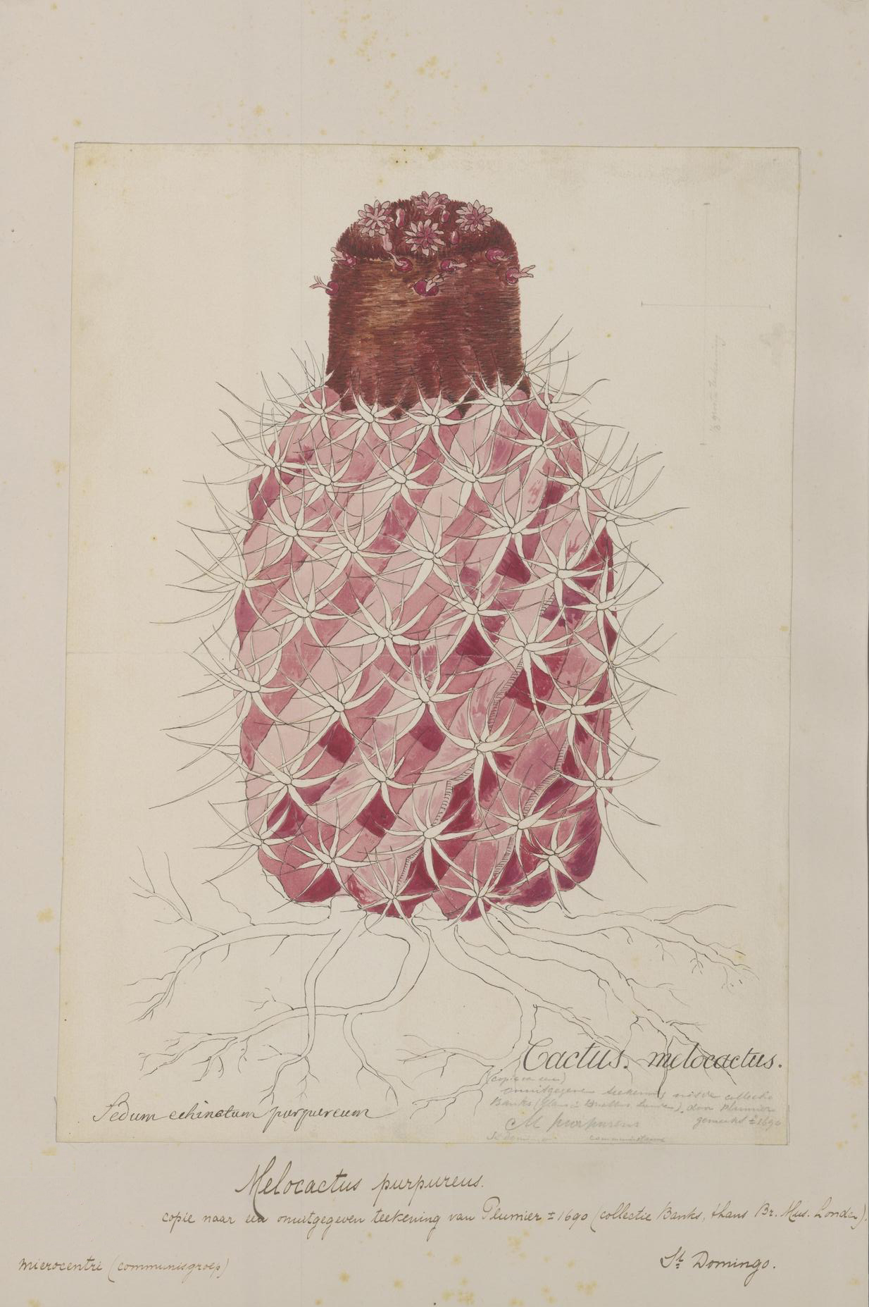 no full size  illustration available (3a)