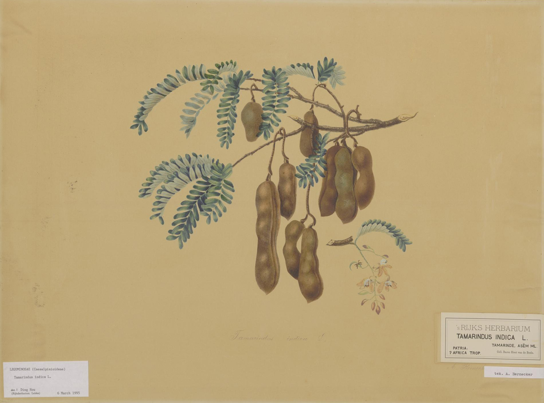 no full size  illustration available (3a)