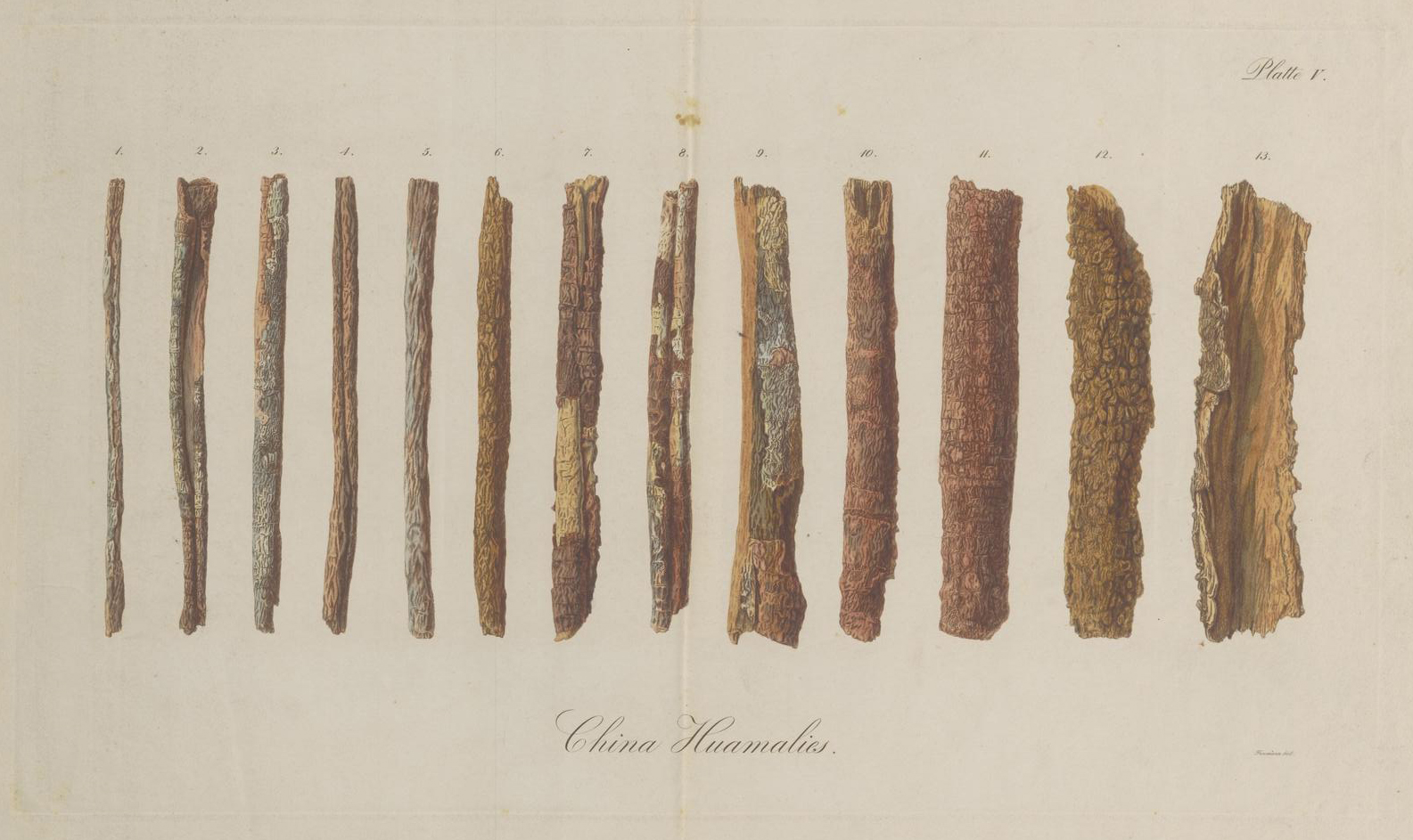 no full size  illustration available (3a)