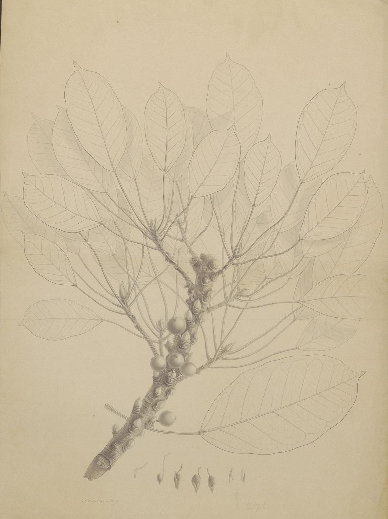 no full size  illustration available (3a)