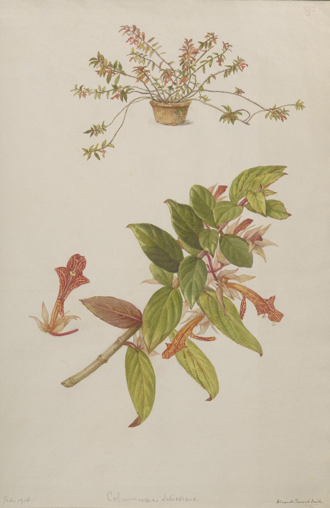 no full size  illustration available (3a)