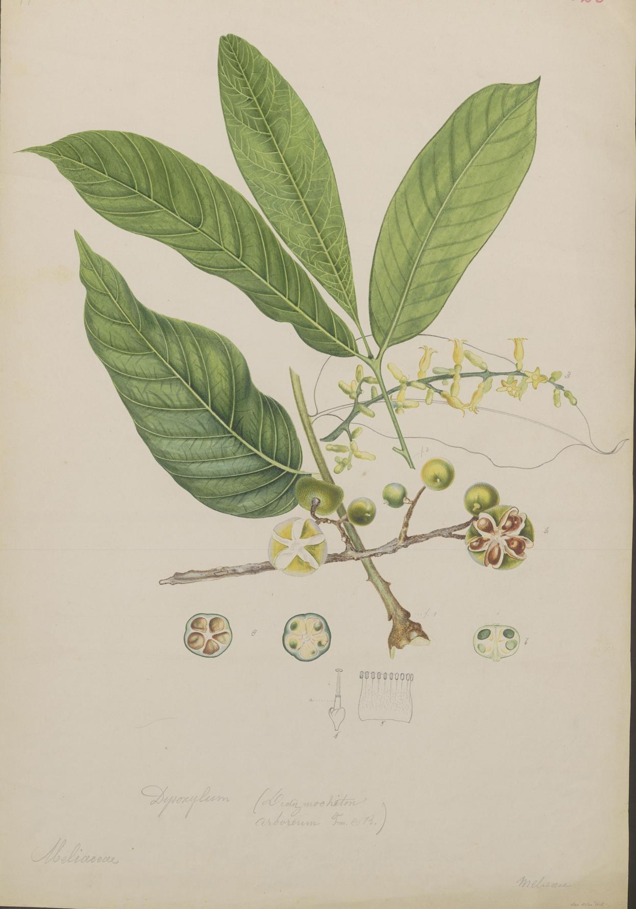 no full size  illustration available (3a)