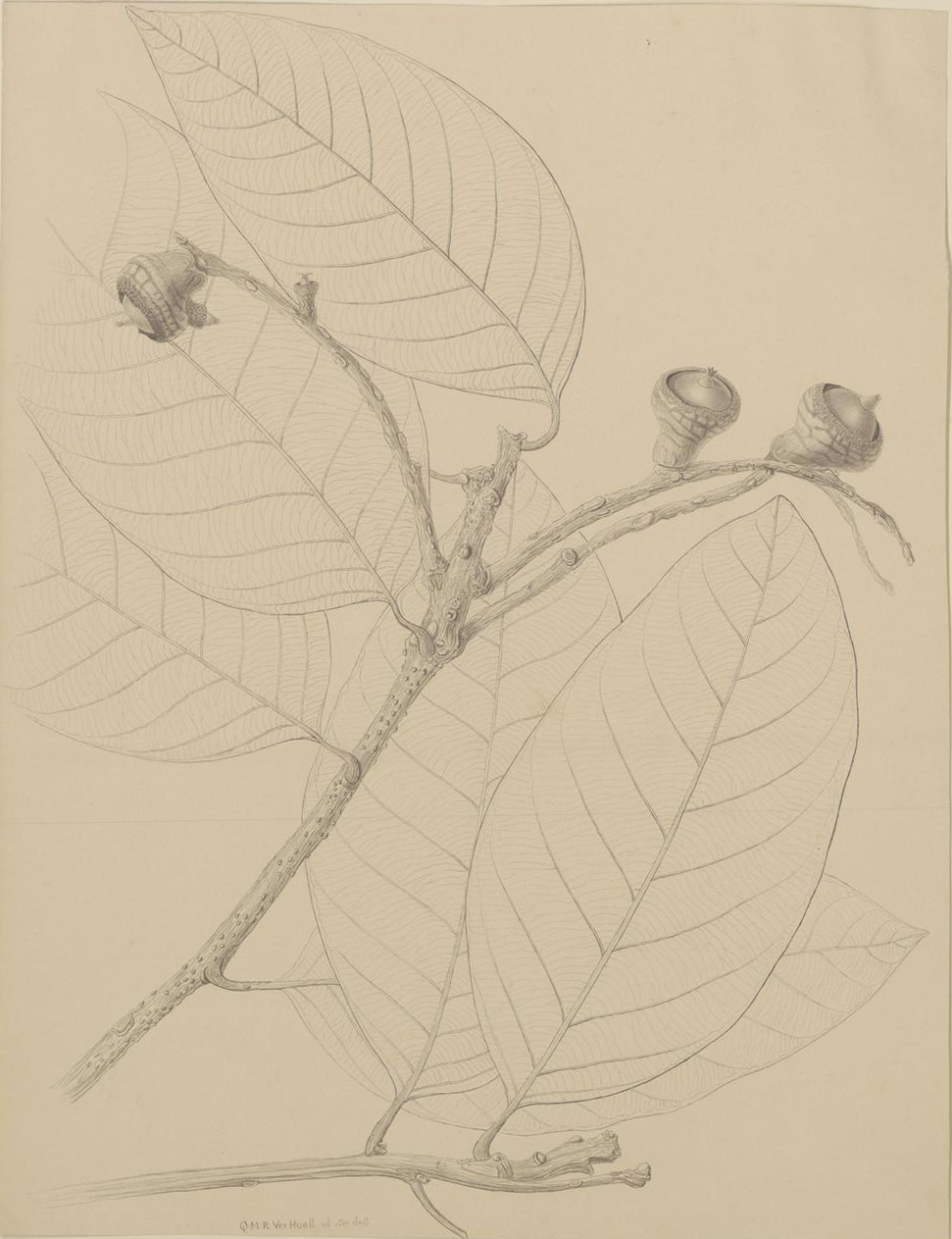 no full size  illustration available (3a)