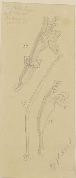 no full size  illustration available (3a)